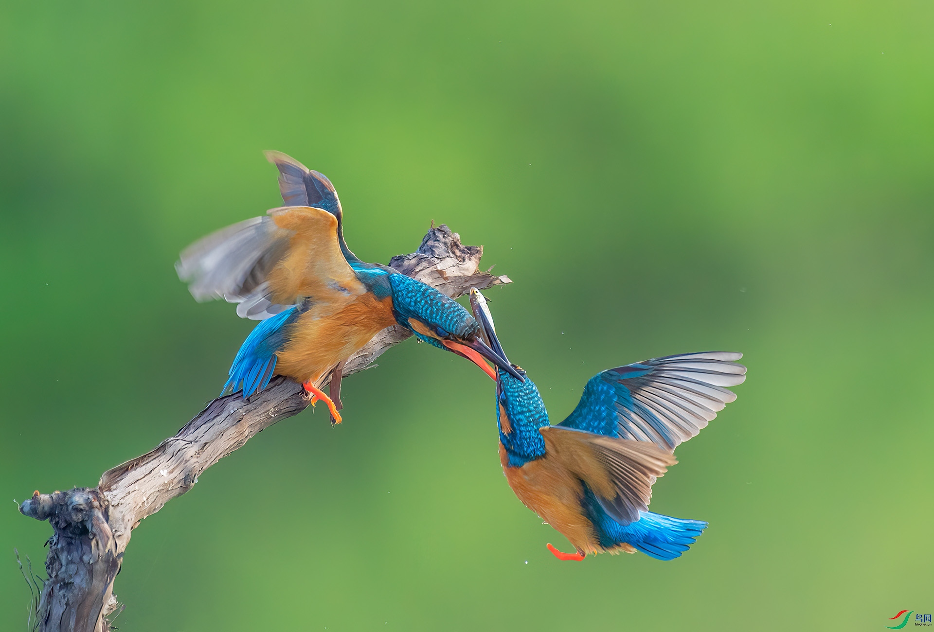 DSC_3589 -1.jpg