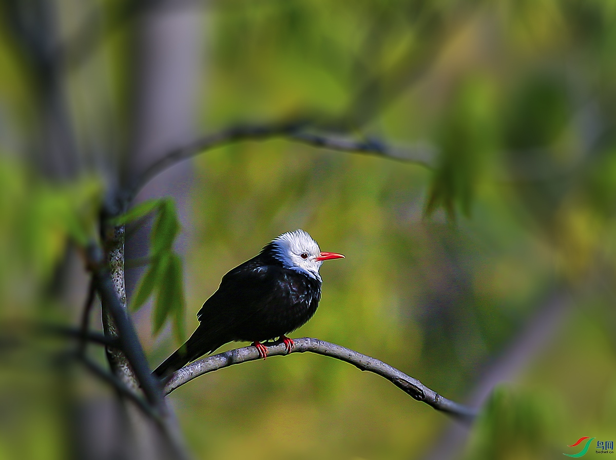 _MG_3269.jpg