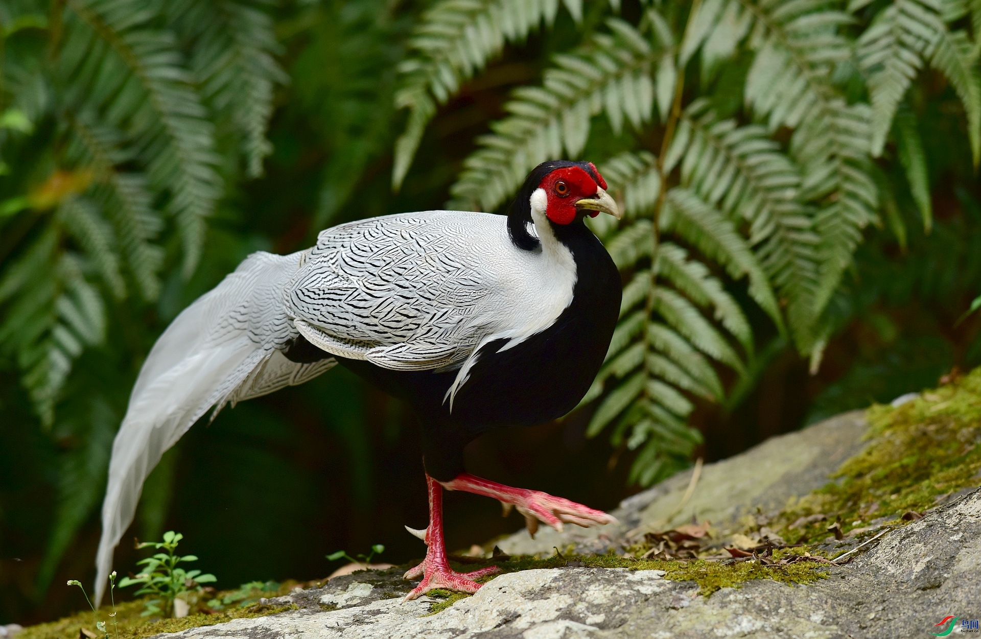 D8I_9368.jpg