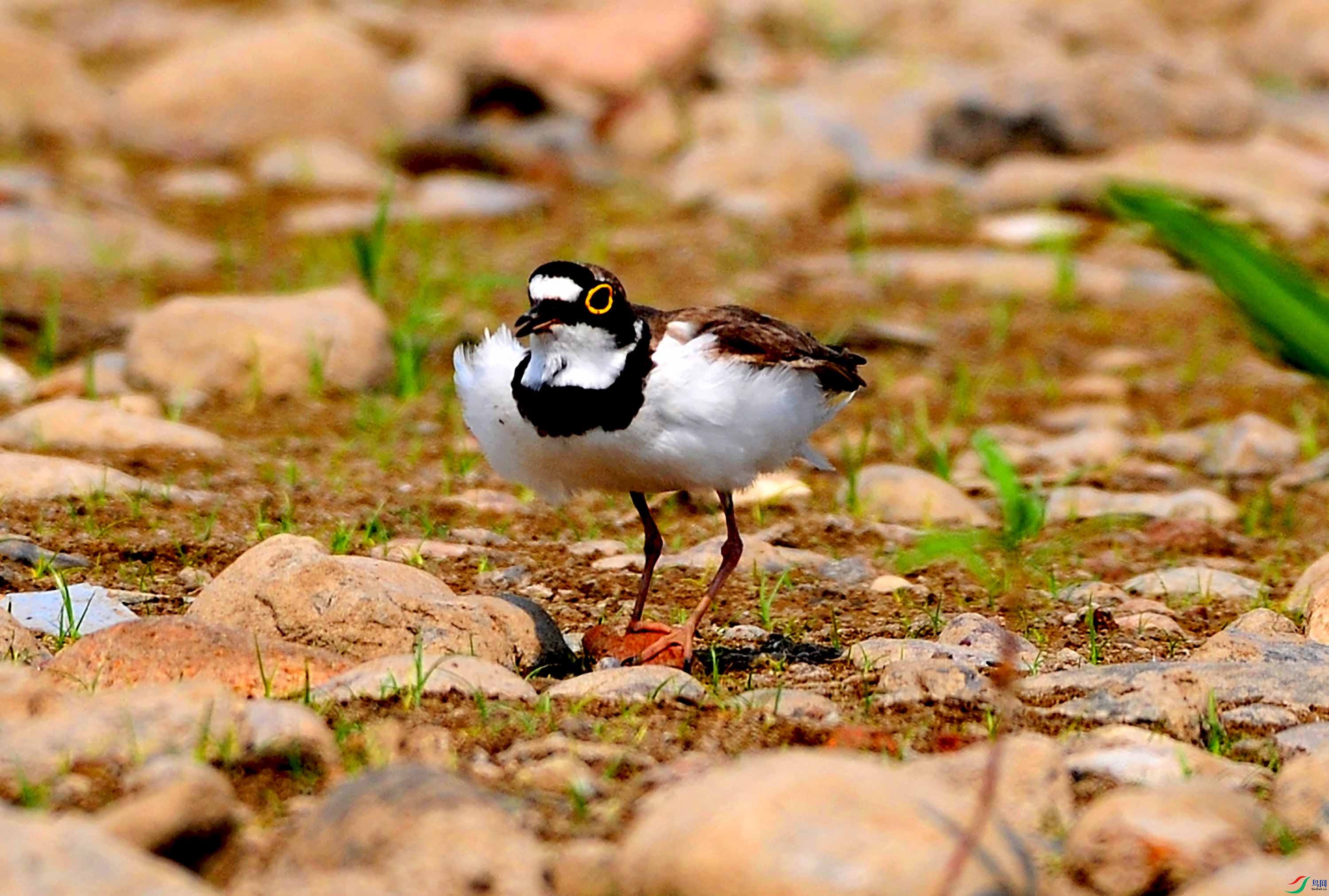 �����a (1).JPG