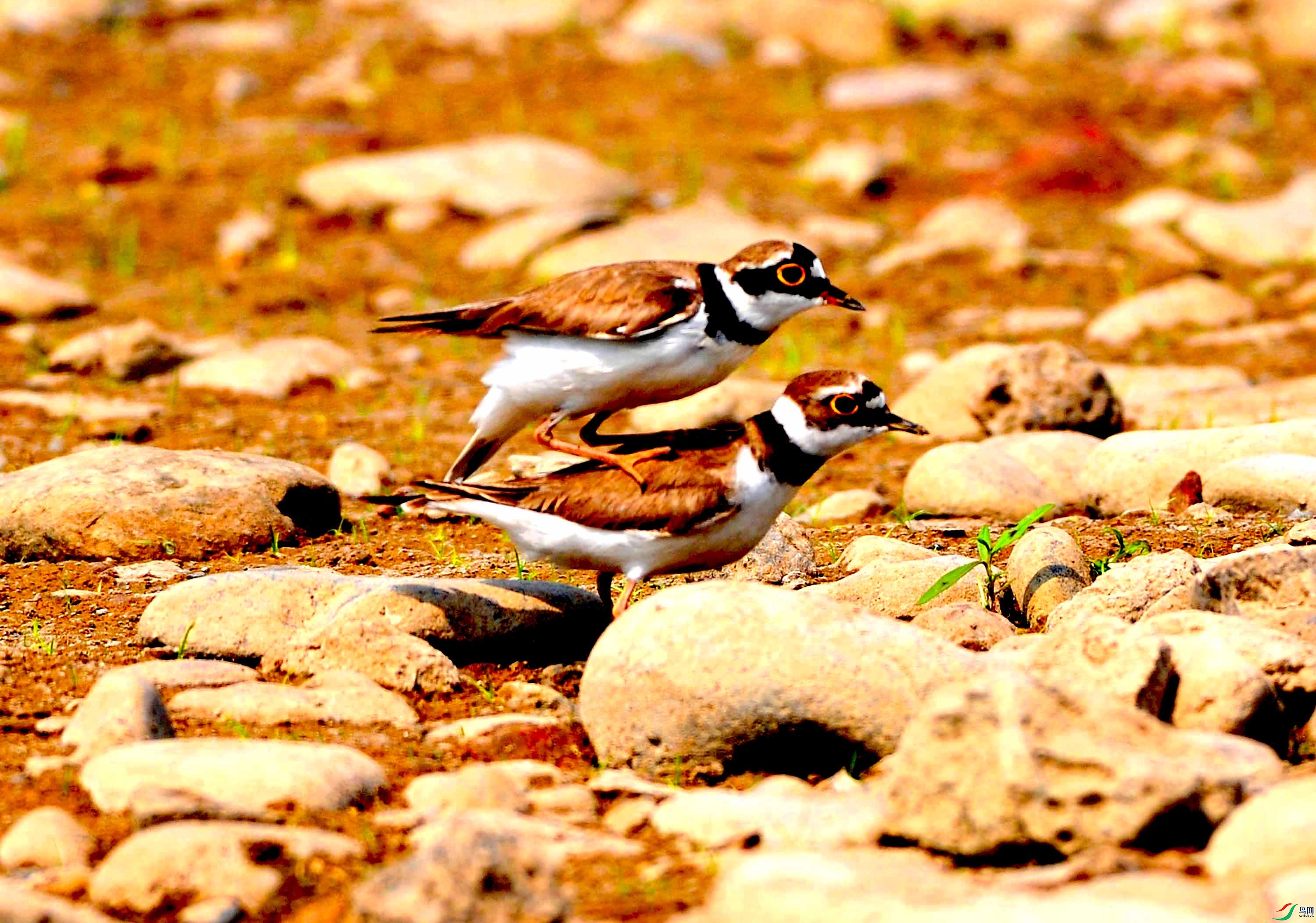 �����a (4).JPG