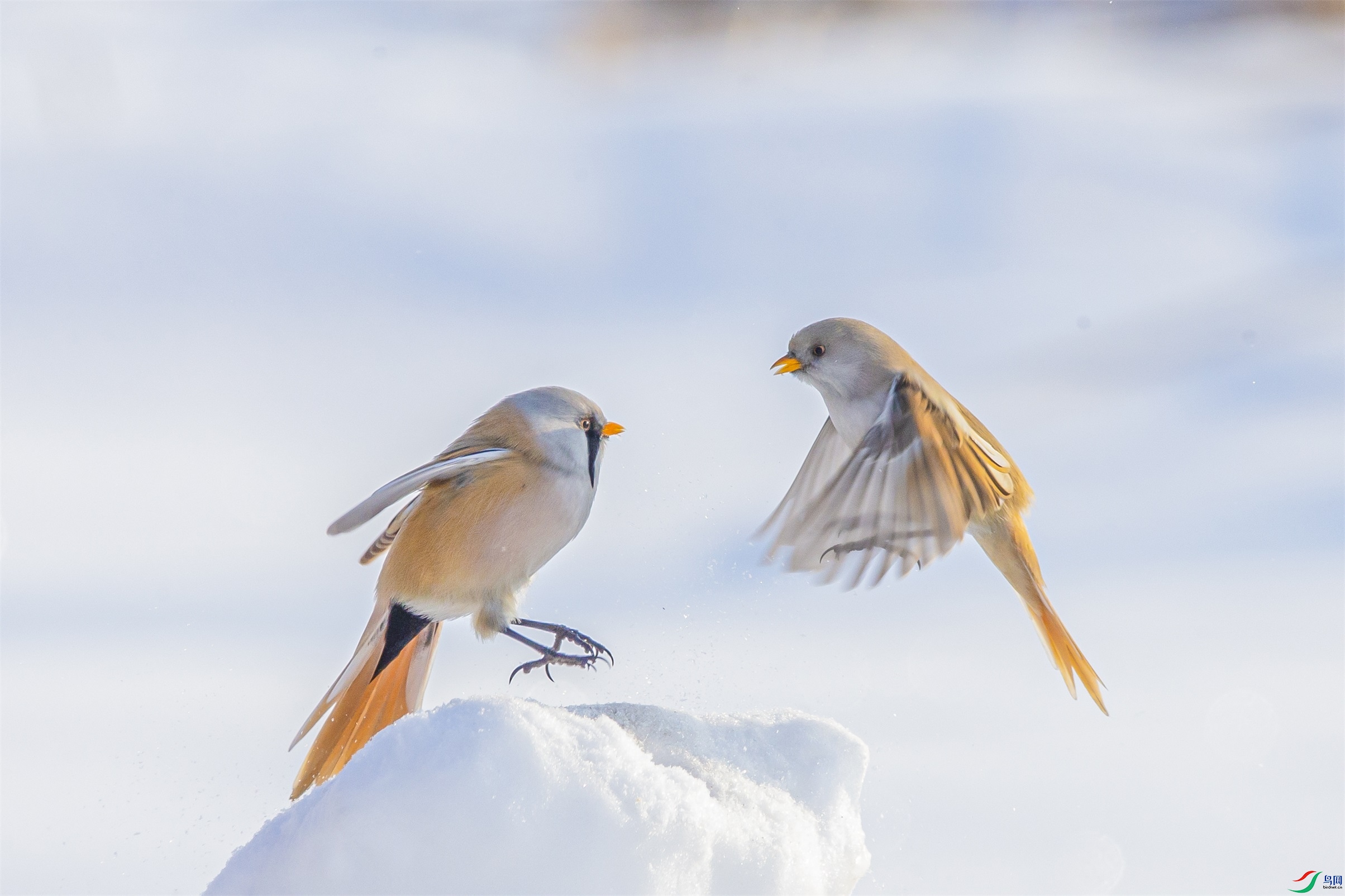 DK7T0664 ����1.jpg