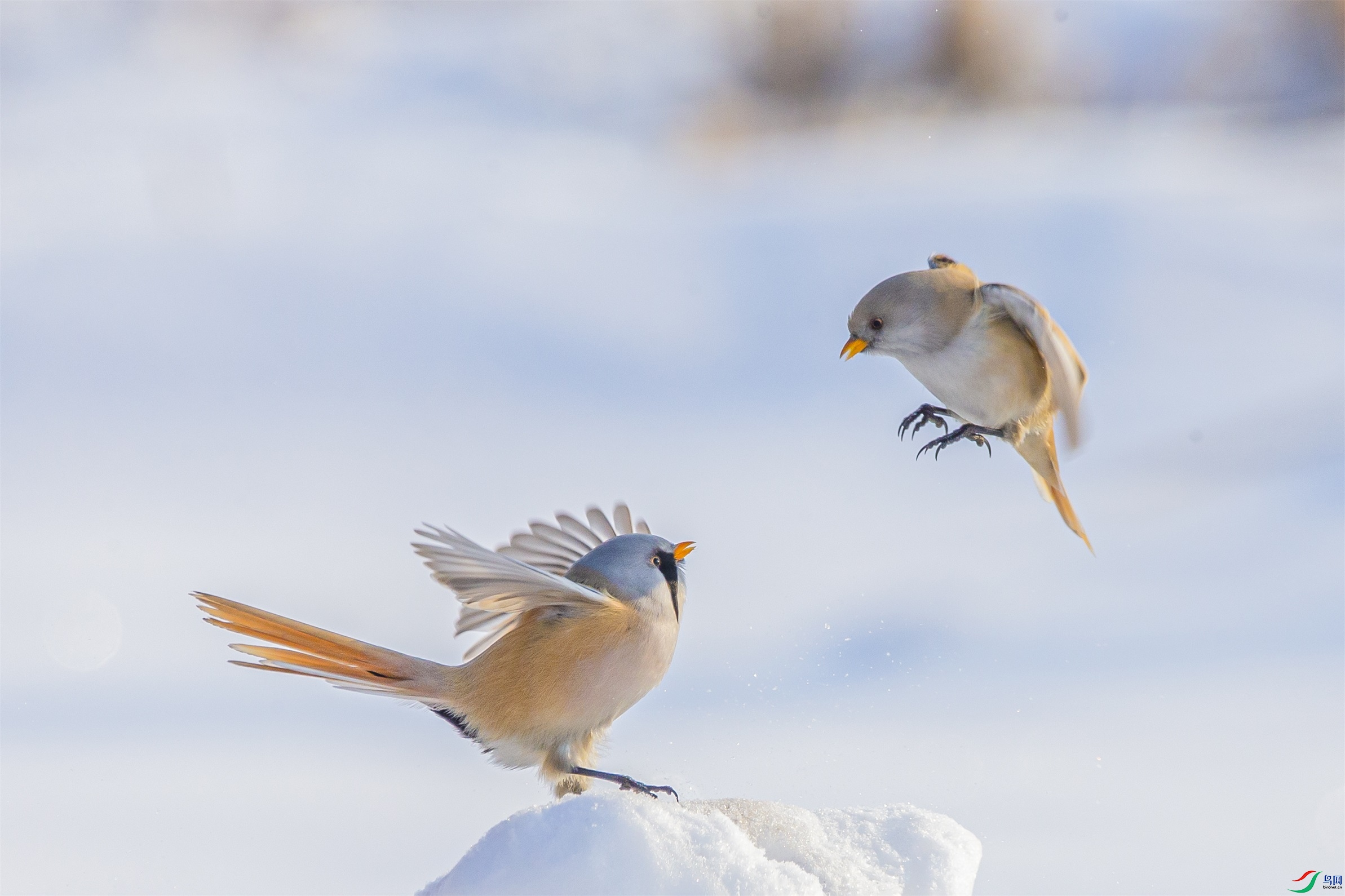 DK7T0665 ����1.jpg