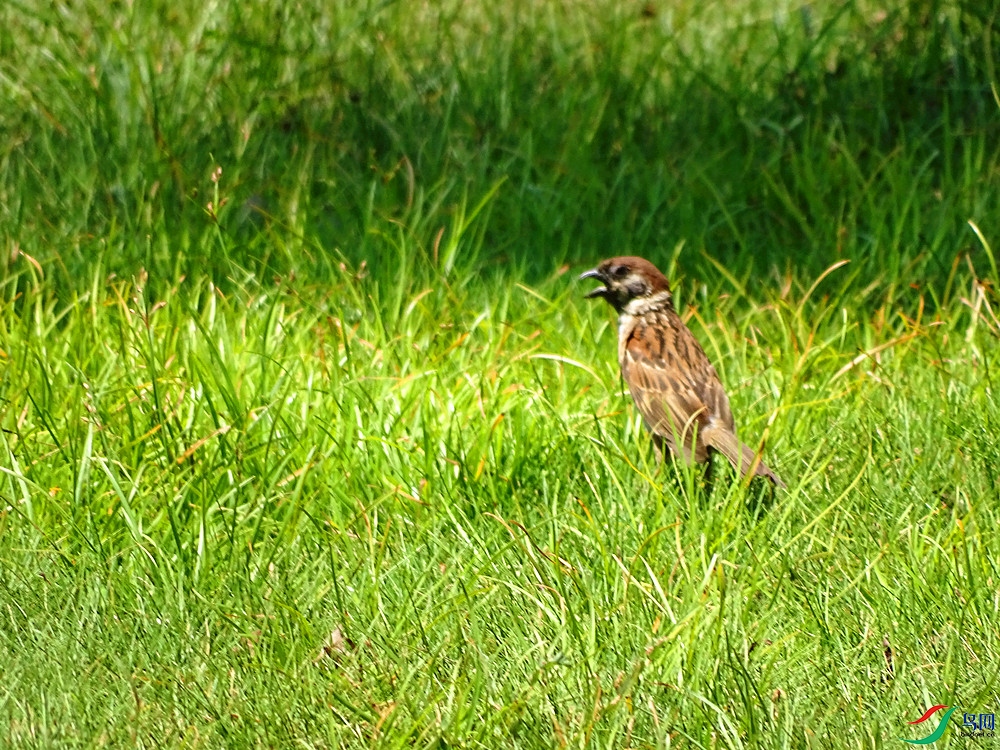 DSC00019_����.jpg