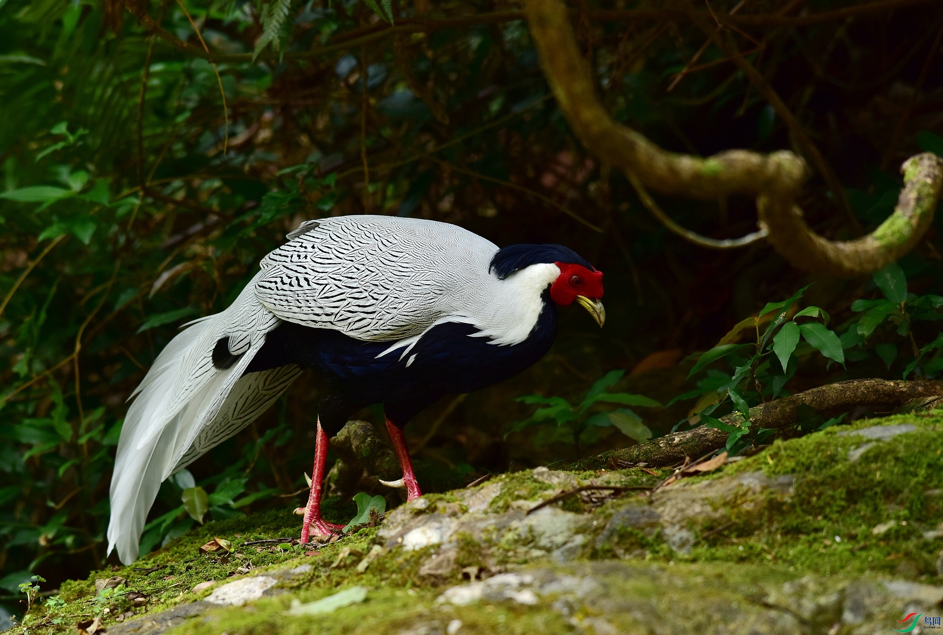 D8I_9301.jpg