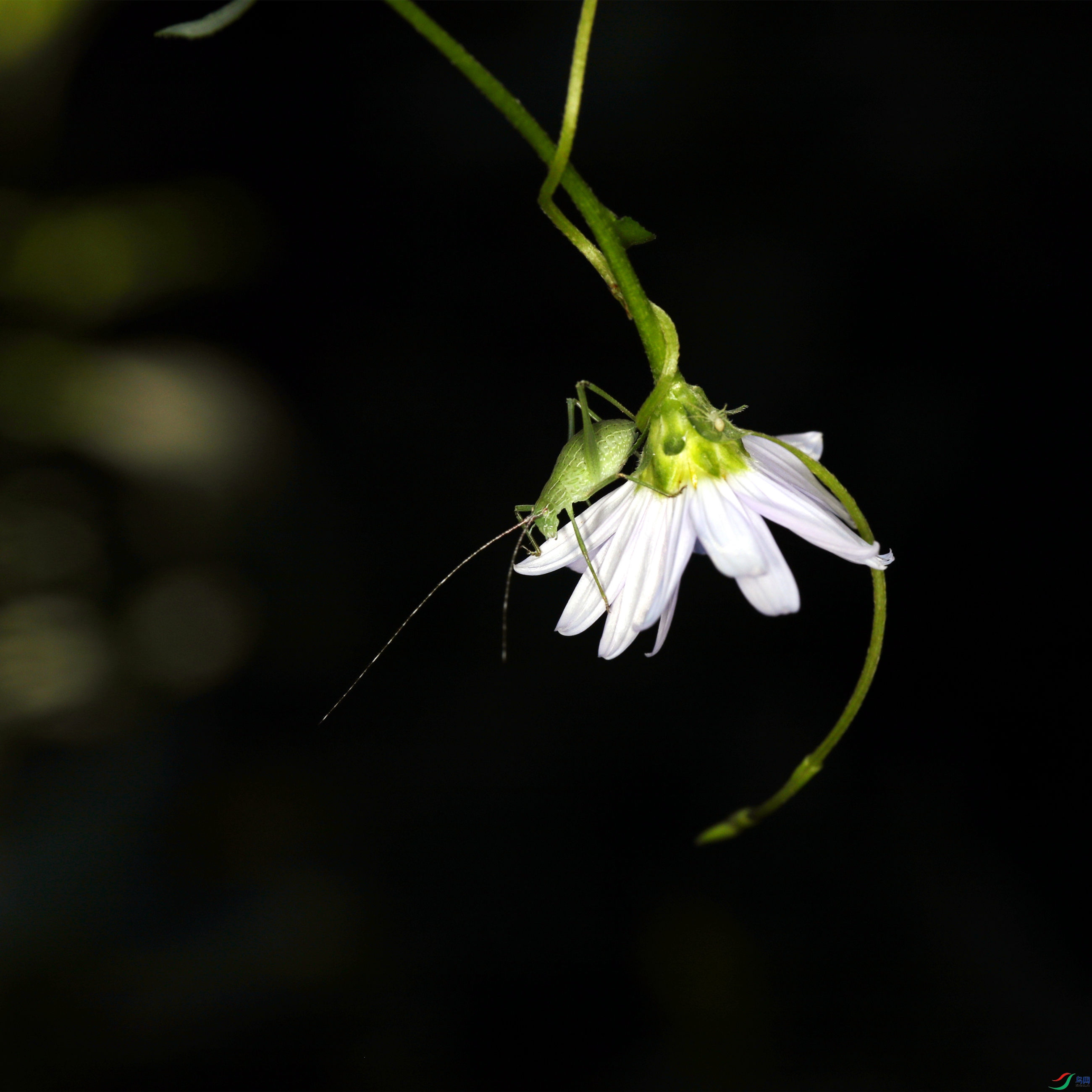 EC6A1266_����_����.jpg