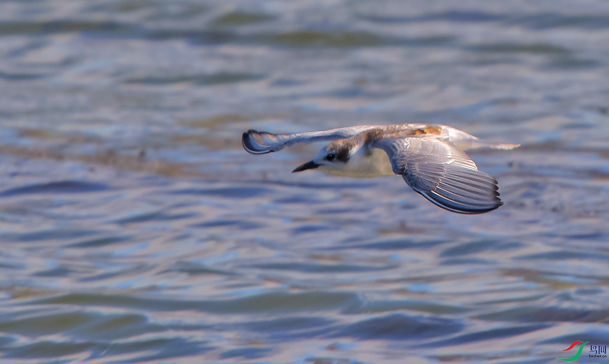 DSC_9017.JPG
