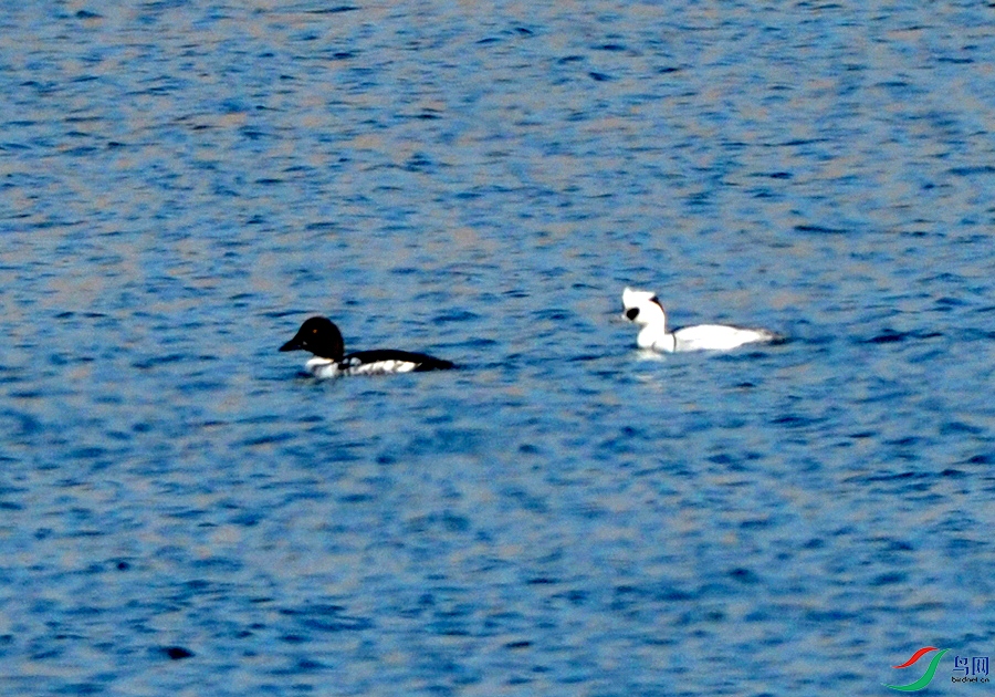 DSC_6253.JPG