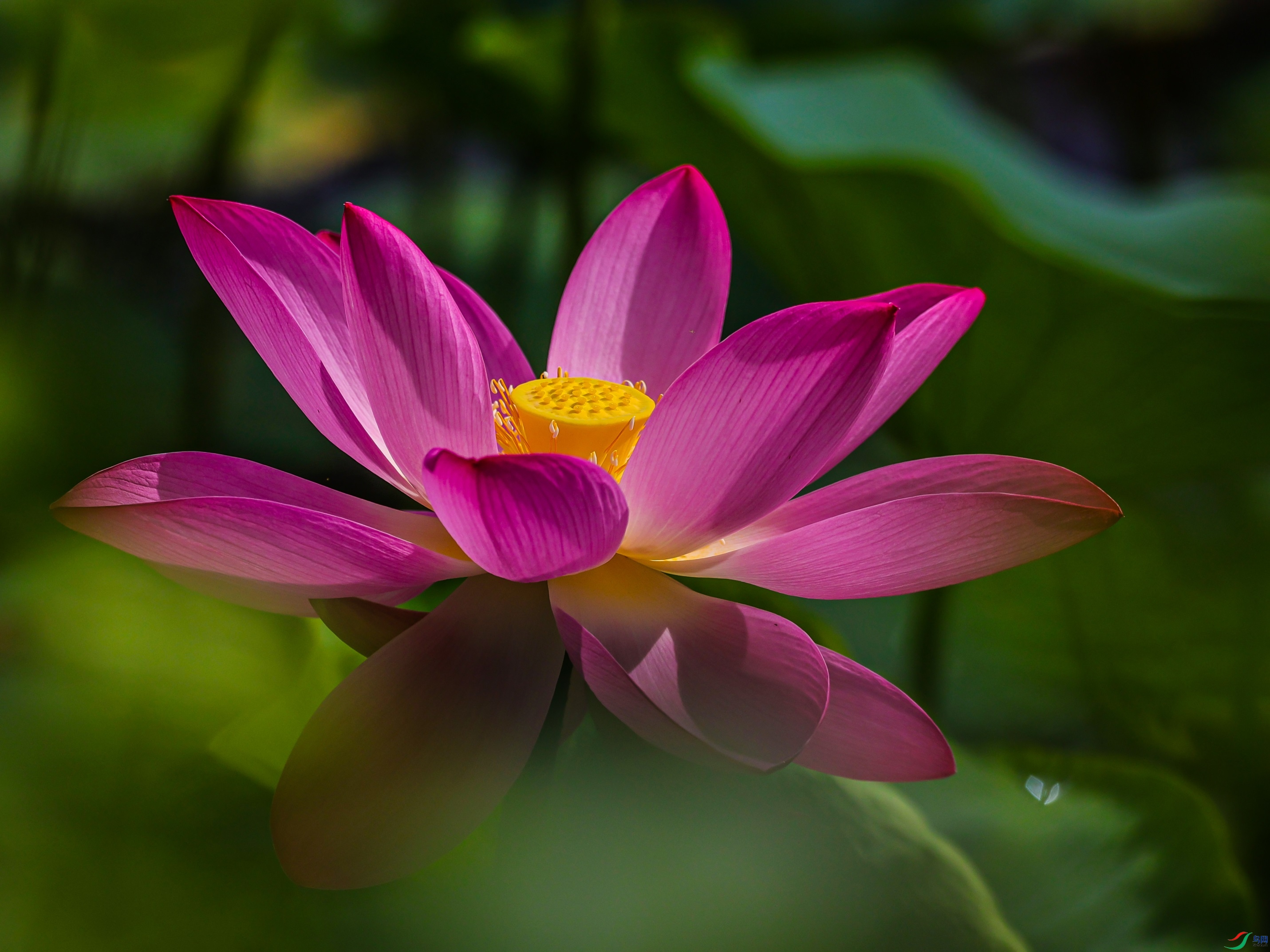 1K3A0786 ����1.jpg