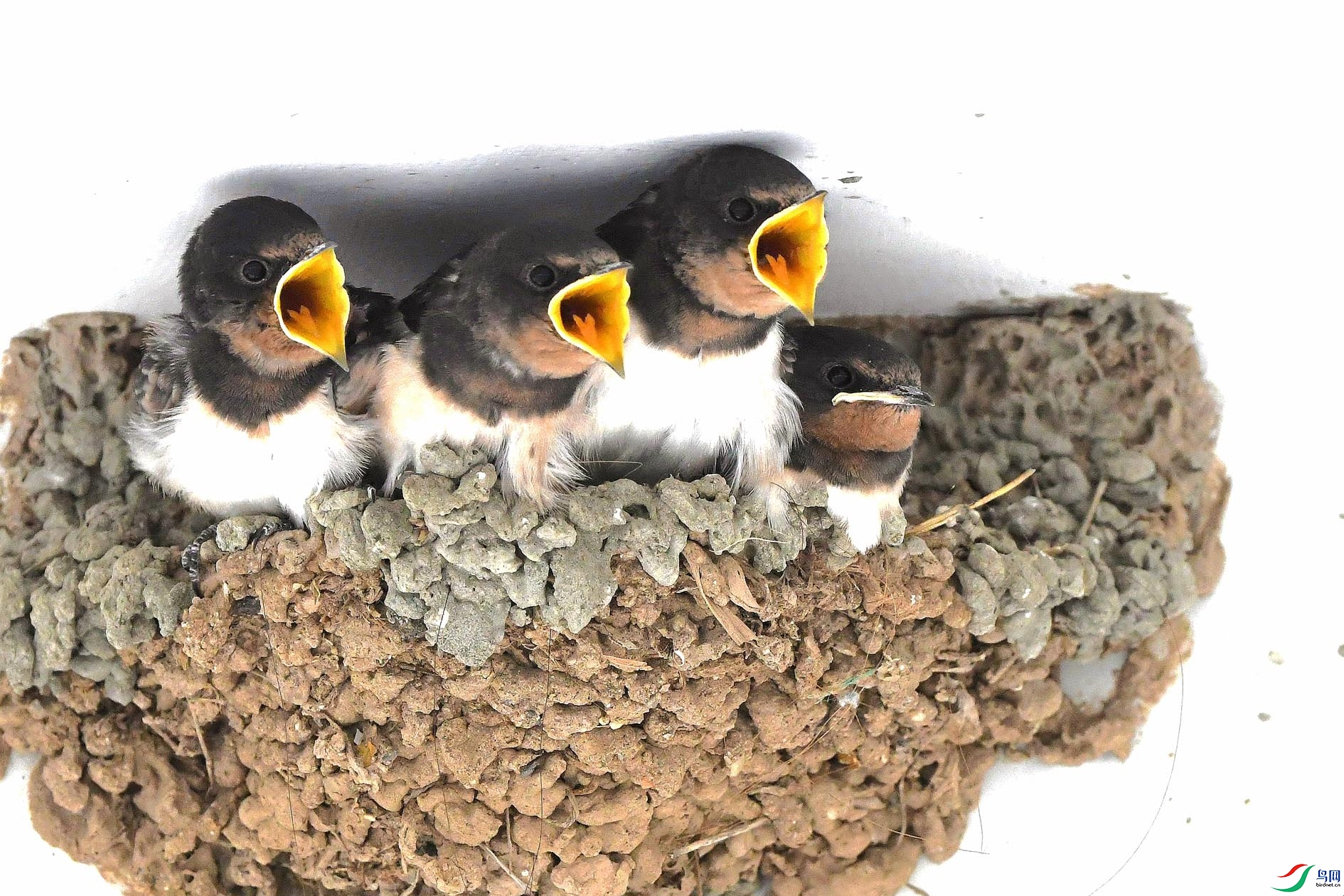 DSC_1564_����.jpg