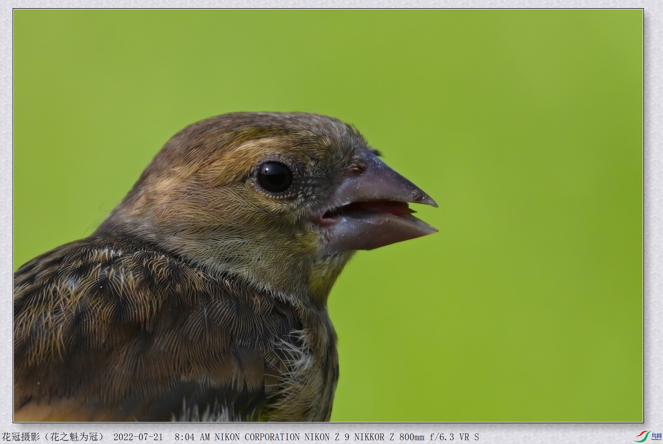 DSC_3380AAA-DeNoiseAI-low-light_����.jpg