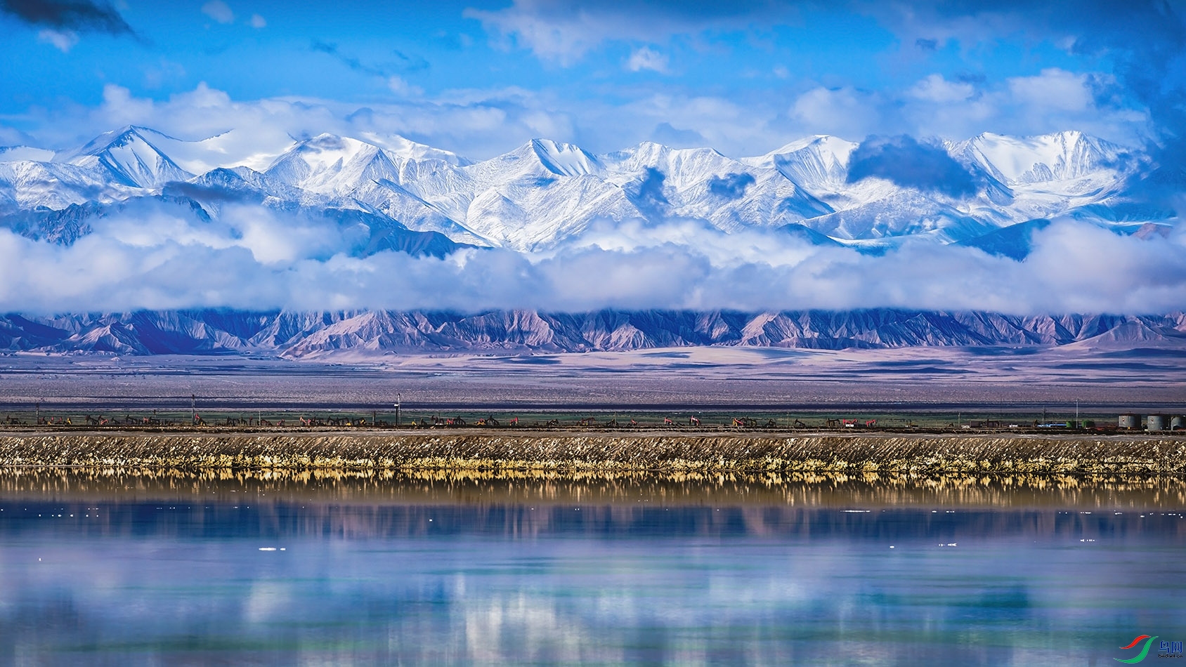 �������ຣã��������