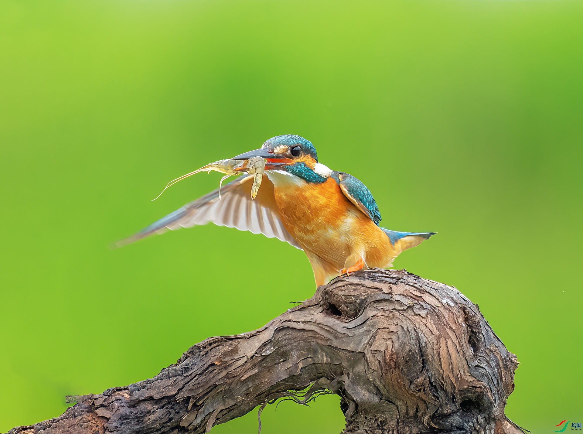 DSC_3970 ����.jpg