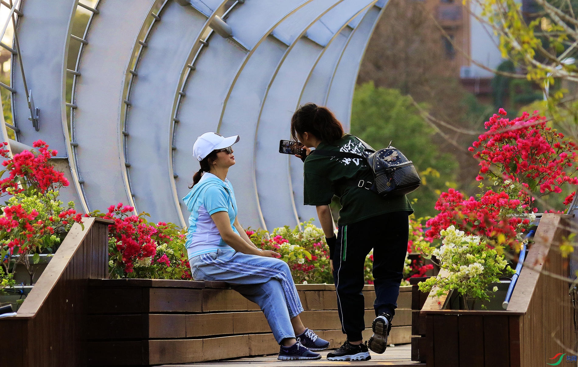 ���������