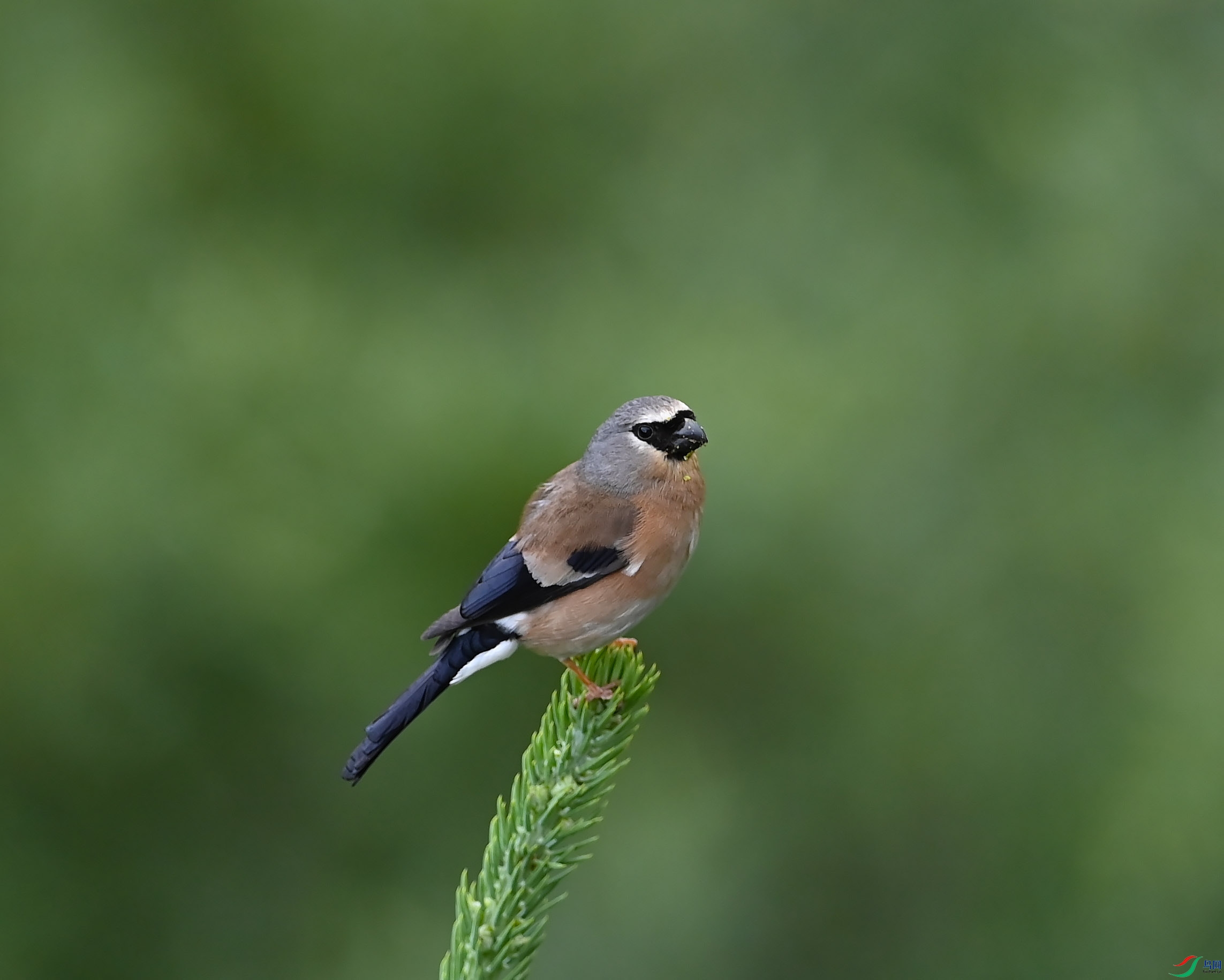 DSC_6372.jpg