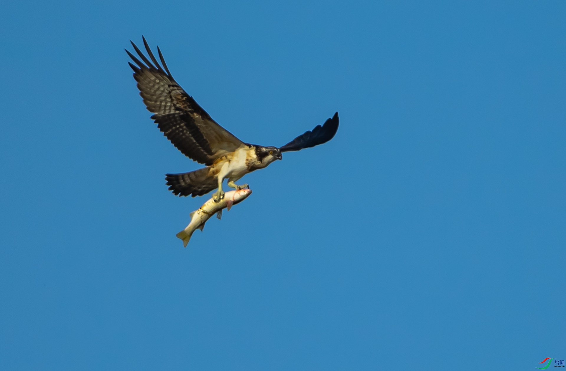 DSC_2930.jpg