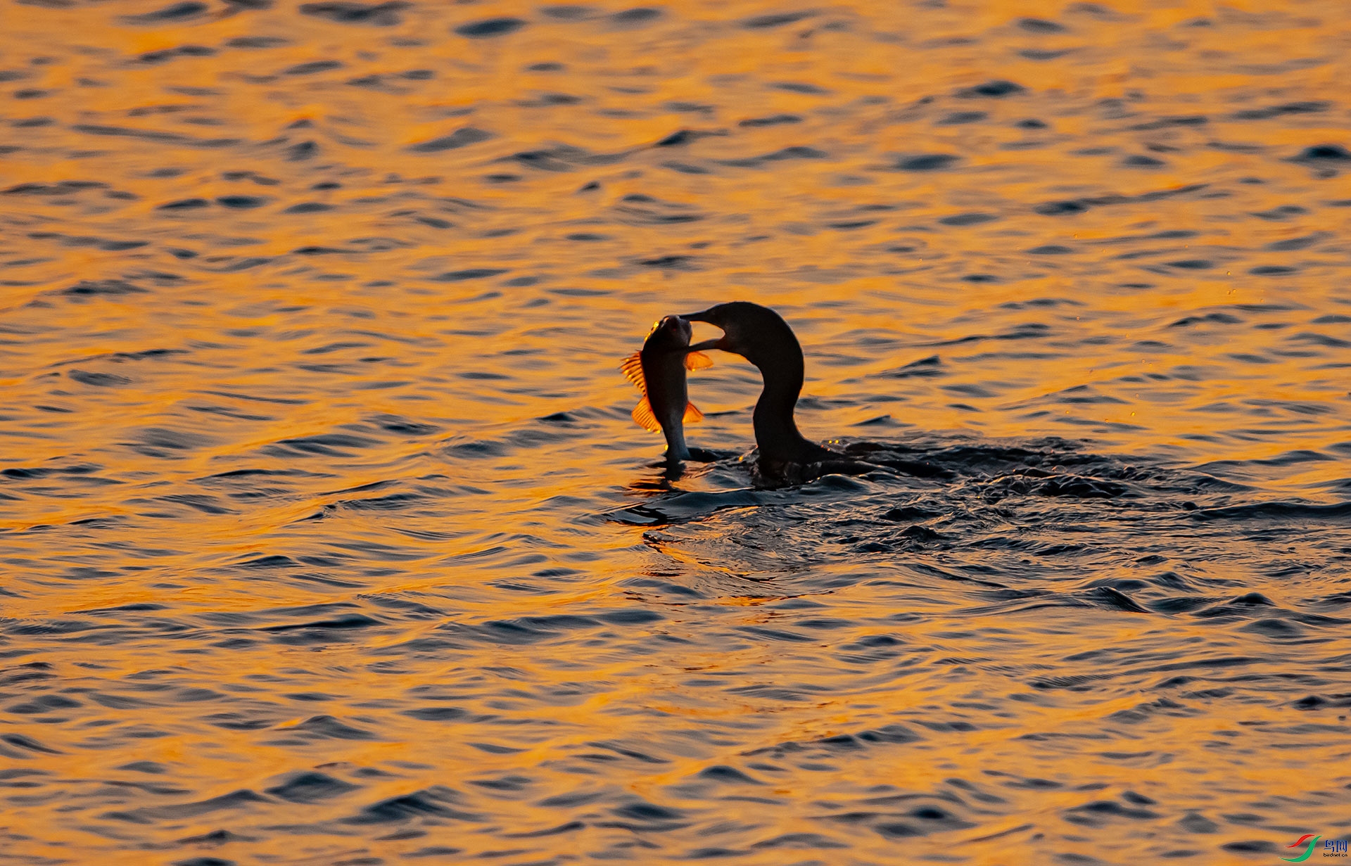 DSC_5507.jpg