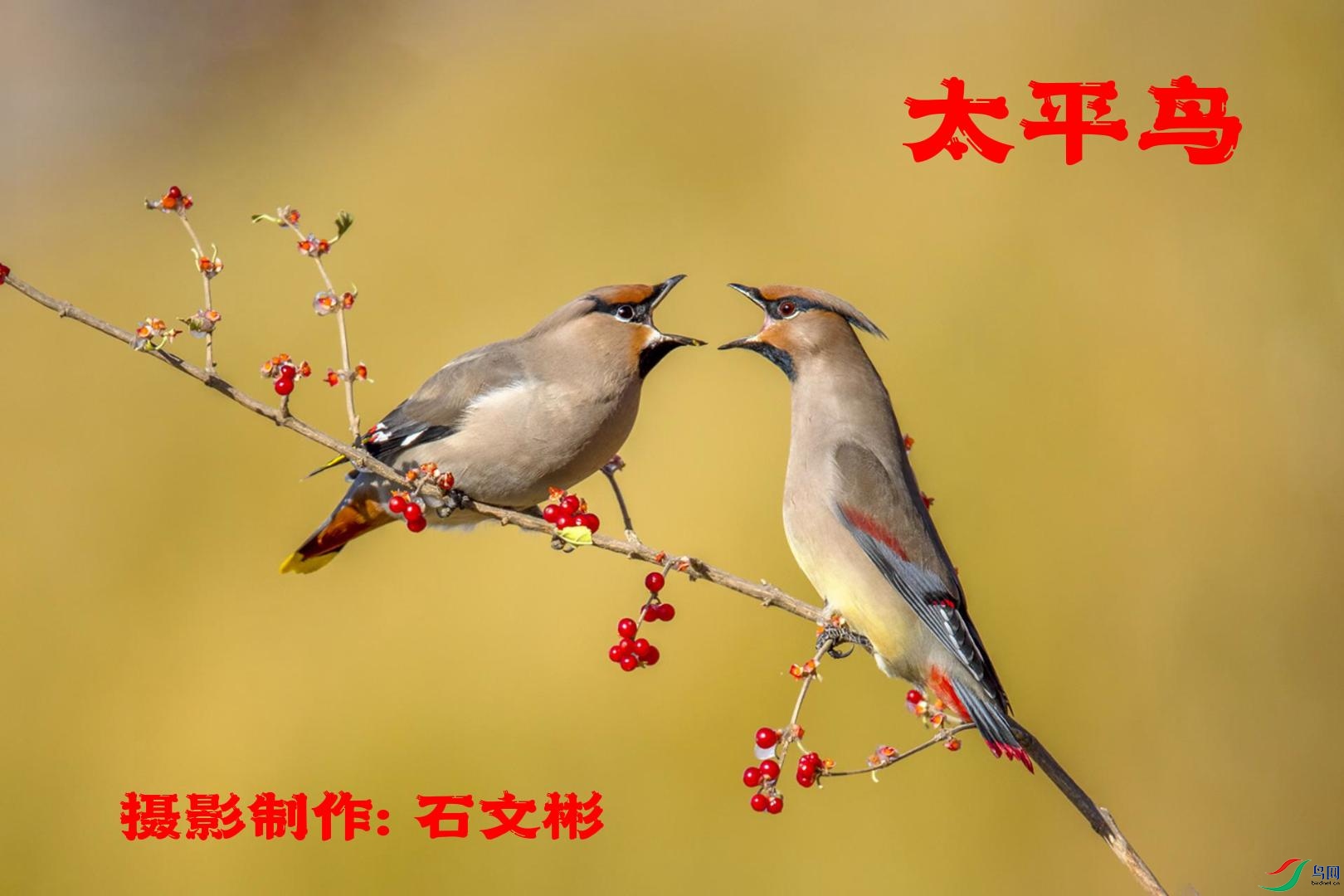 8��8�� (1)(4)-����.jpg