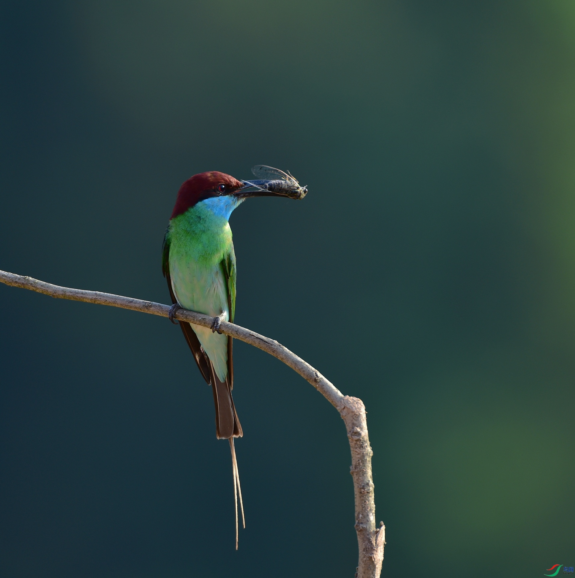 D8I_2054.jpg