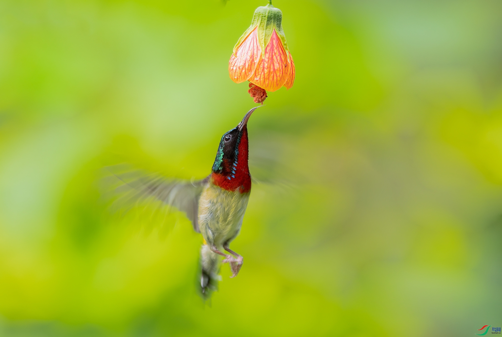 DSC_7573 ����.jpg