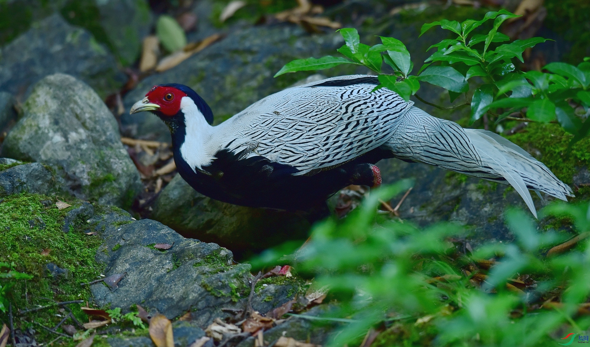D8I_9570.jpg