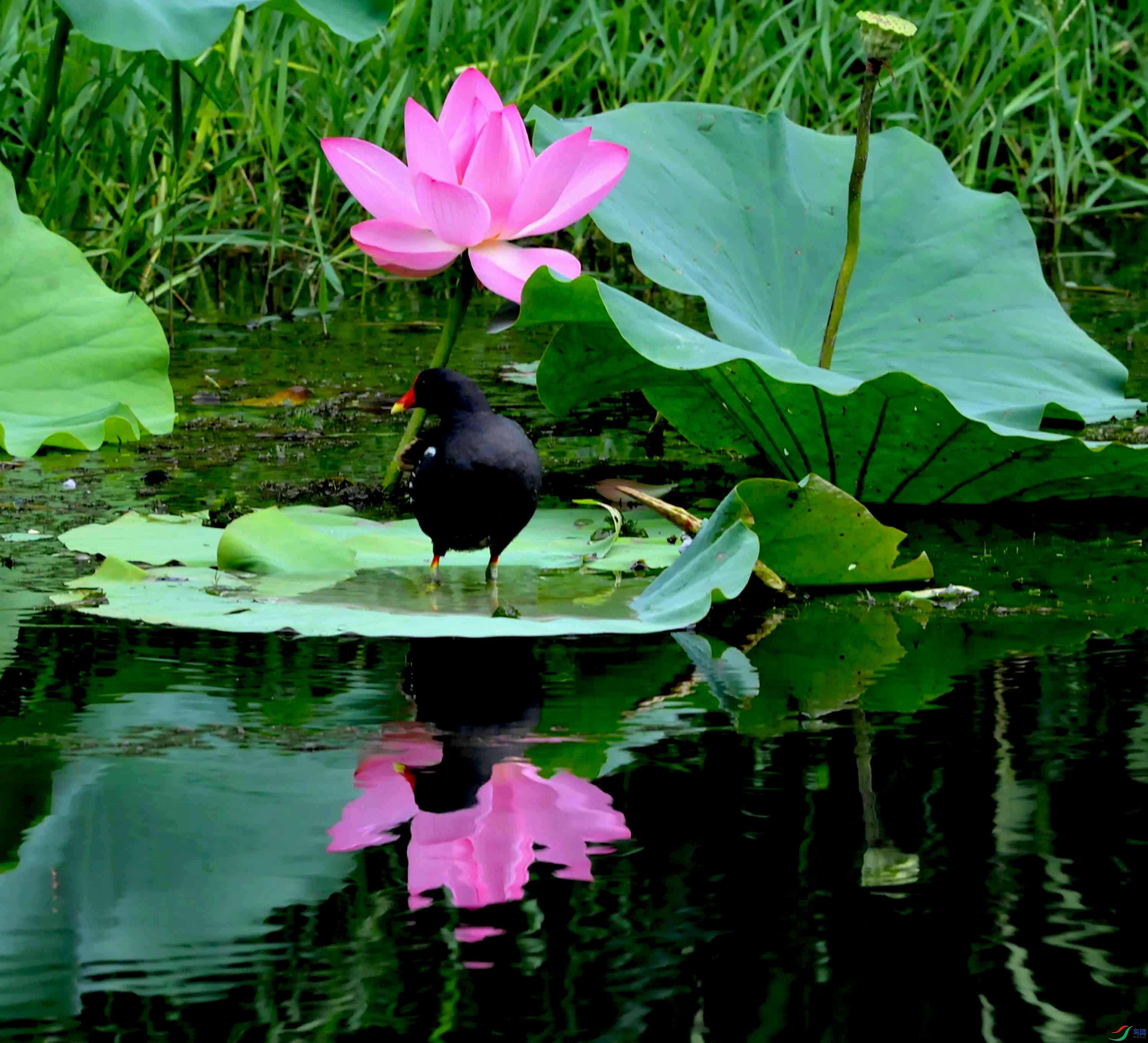 DSC_8526.JPG