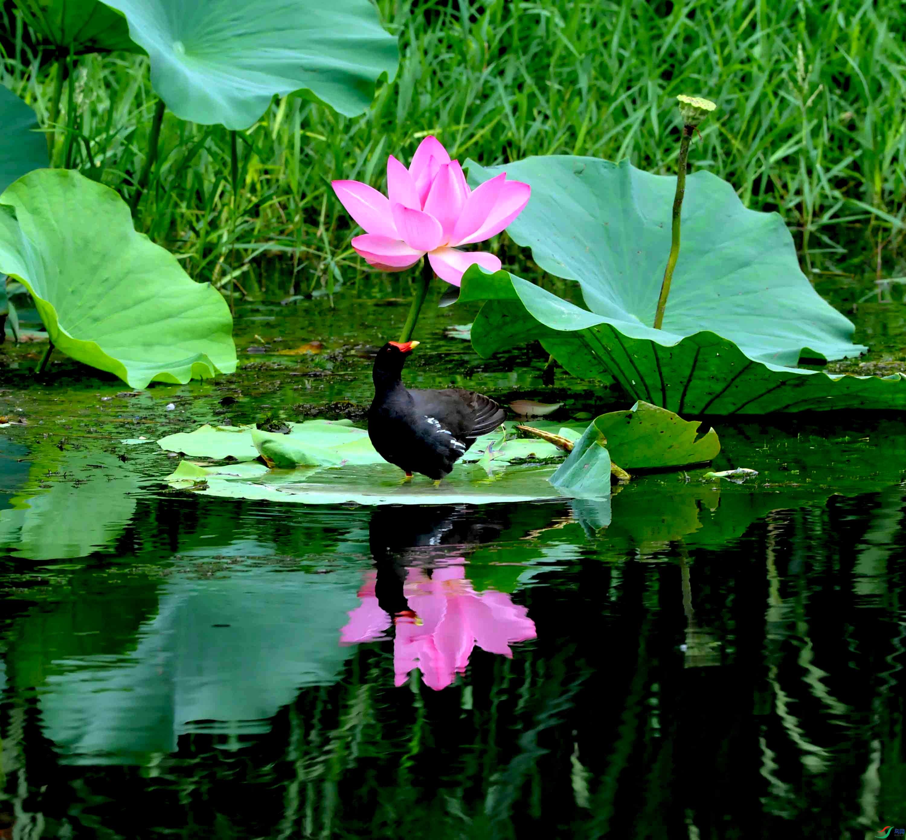 DSC_8538.JPG