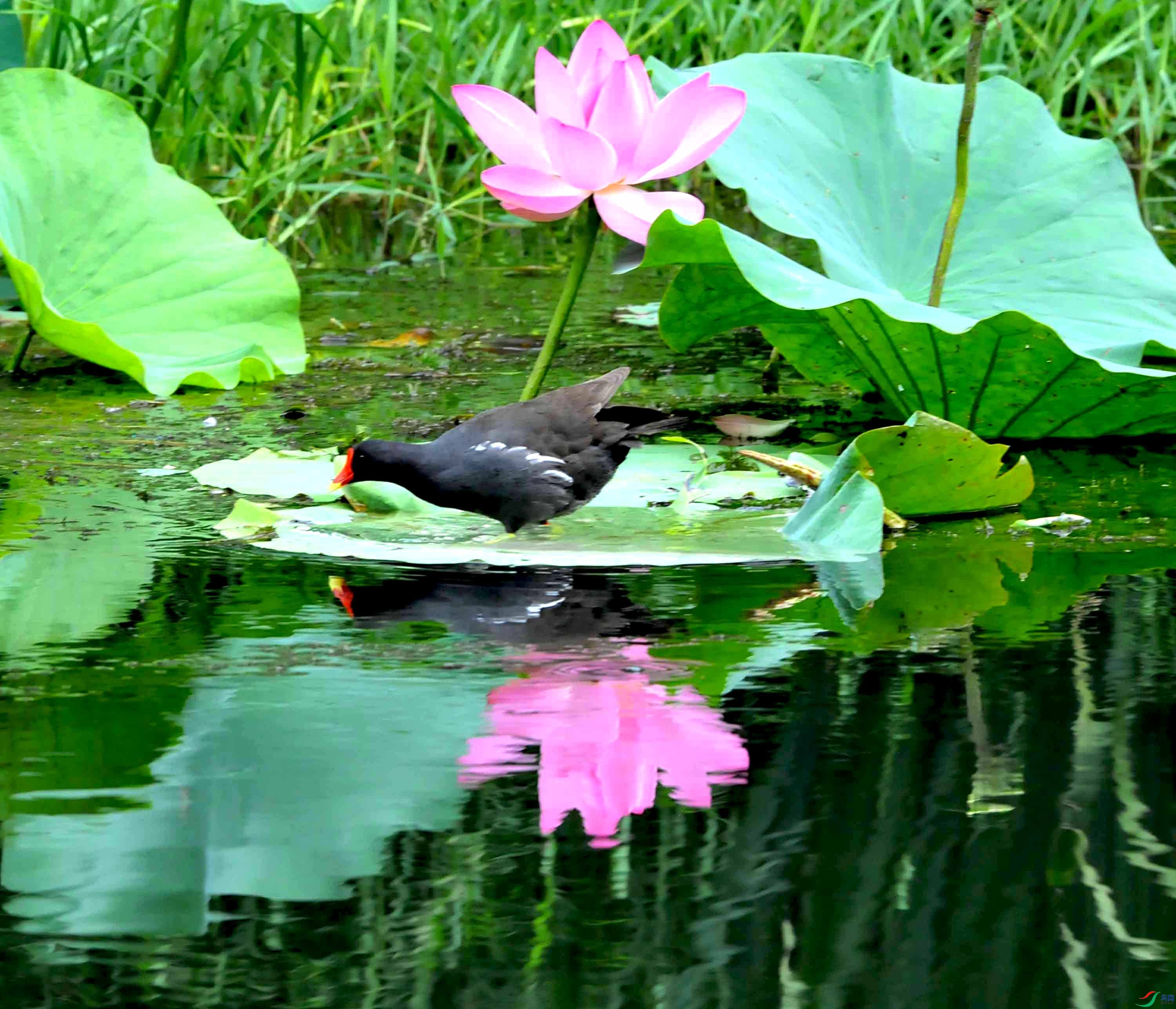 DSC_8546.JPG
