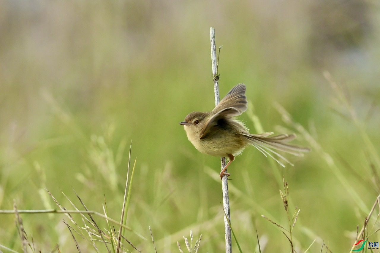 BE8A17F9-5544-4E71-9E0F-4ABE55241236.jpeg