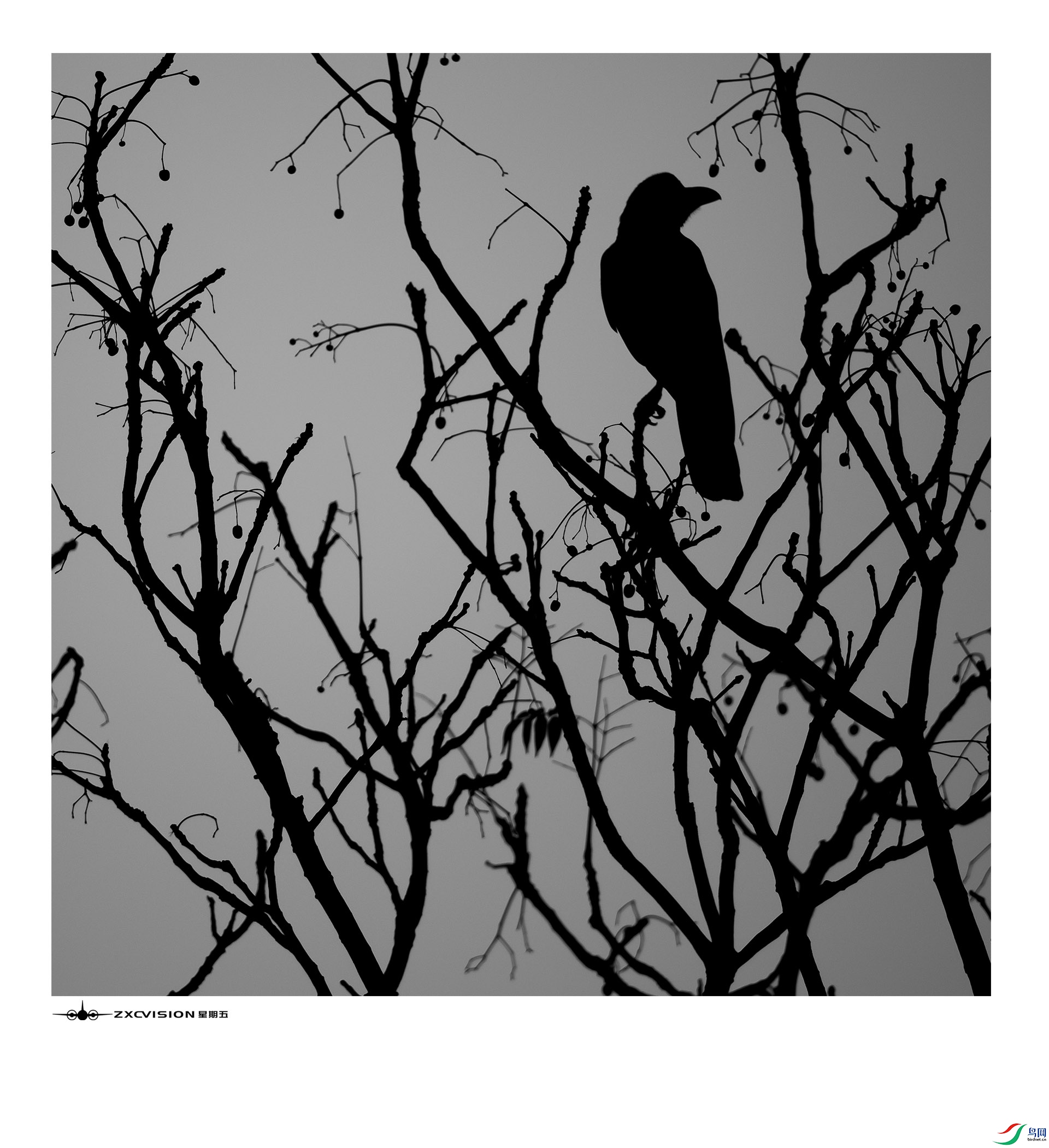 ZXC_5679 ����.jpg