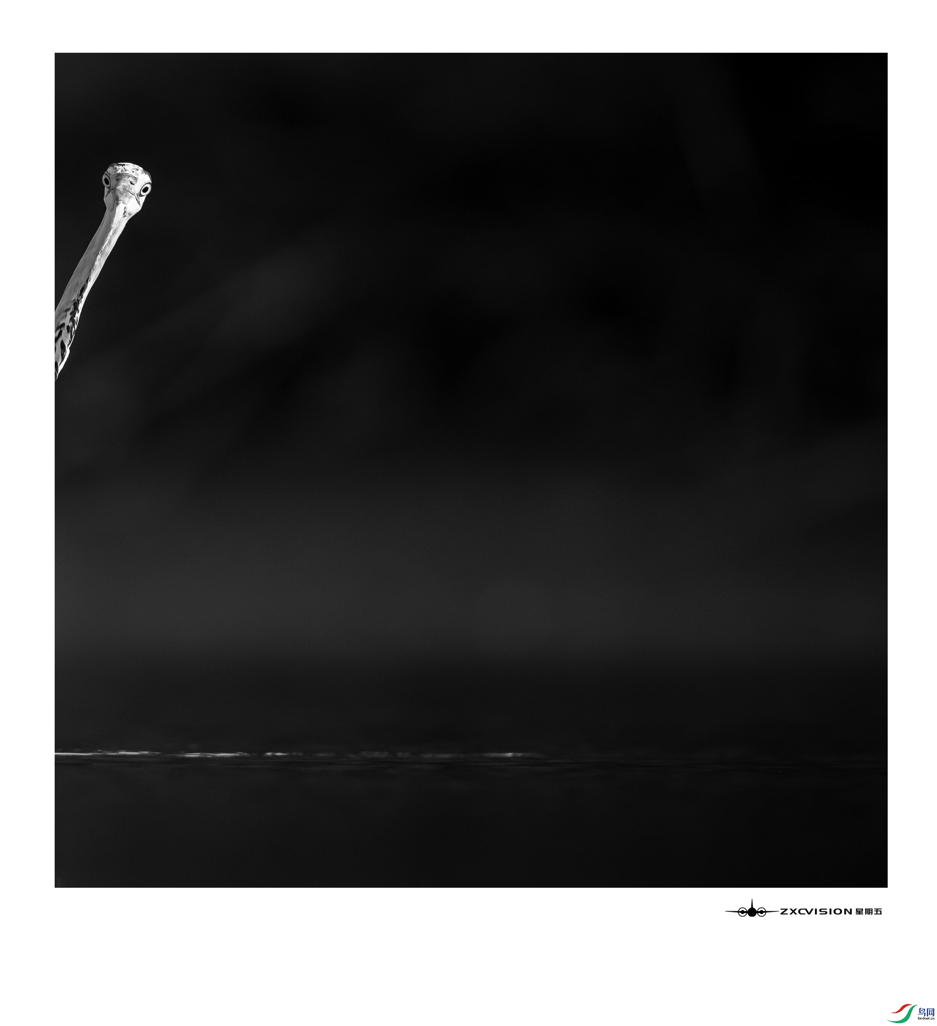 ZXC_5679 22����.jpg