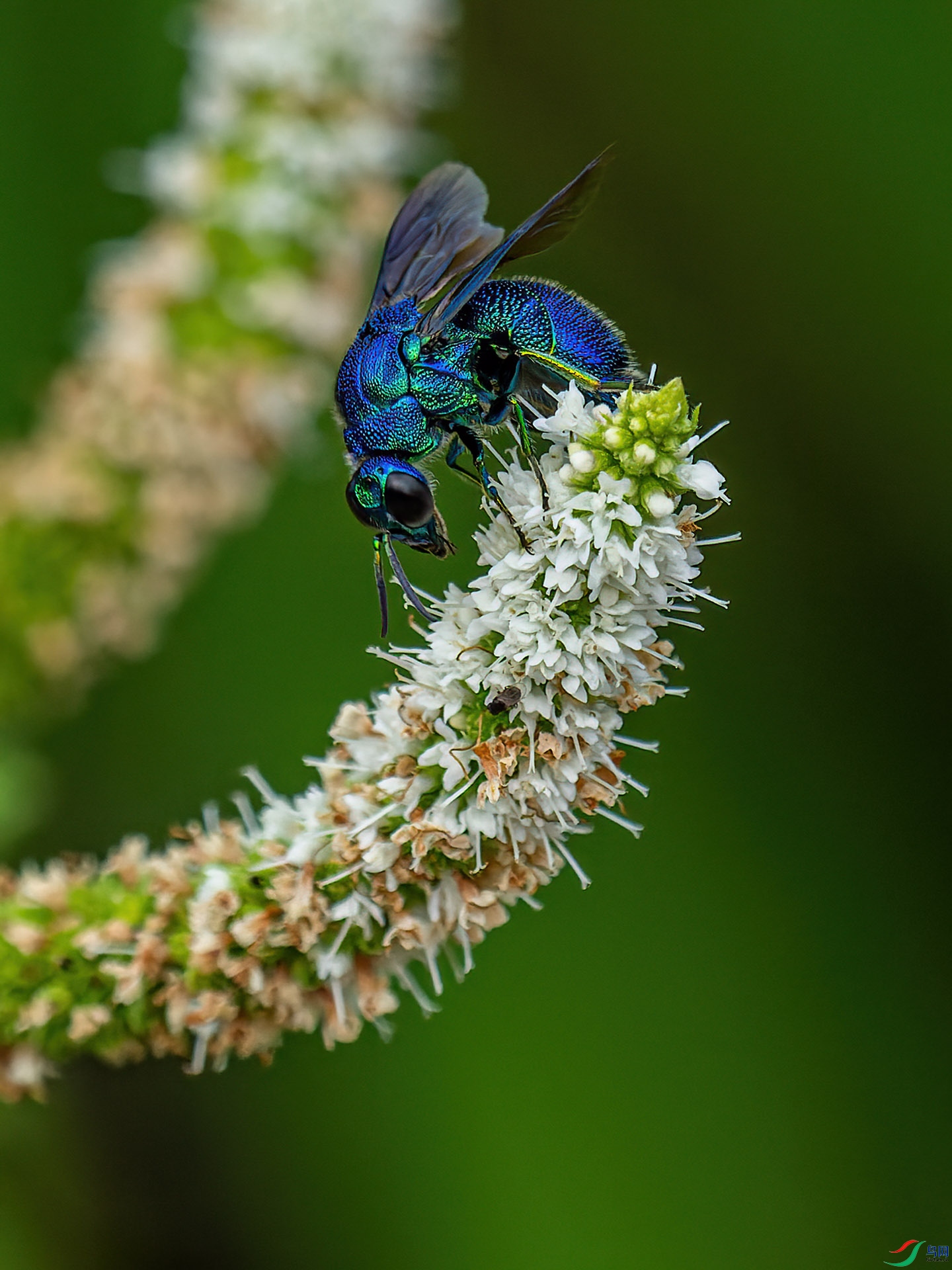 20220805-083758-1.JPG