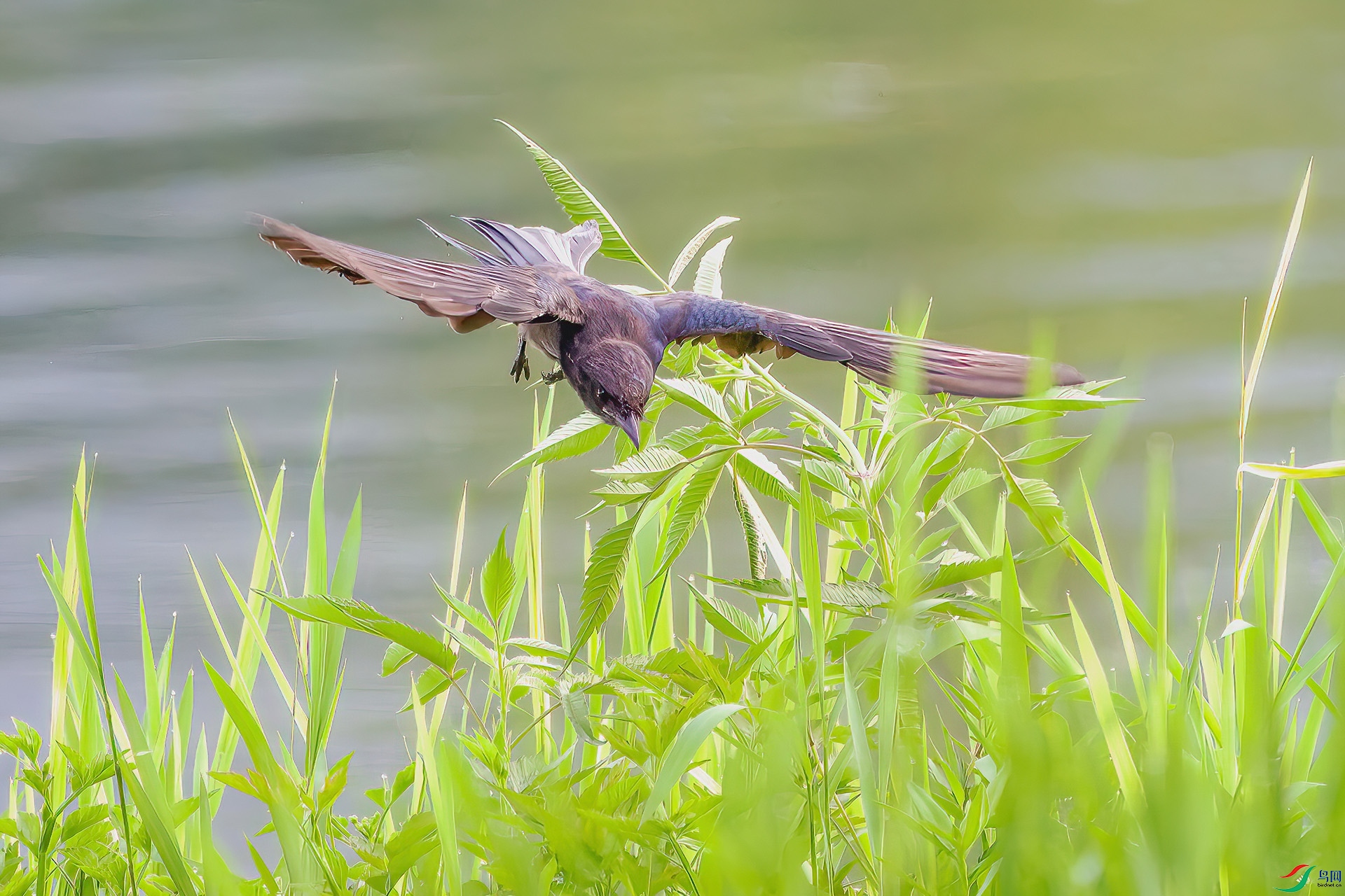 _MG_5383.jpg