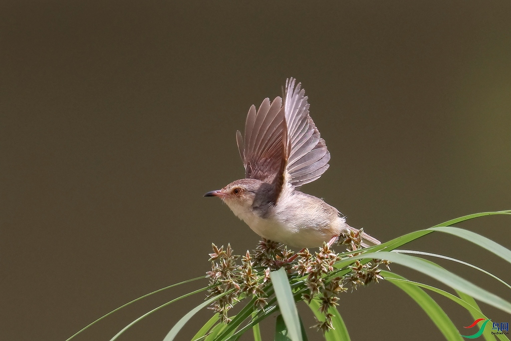 1M6A5047 ����_����.jpg