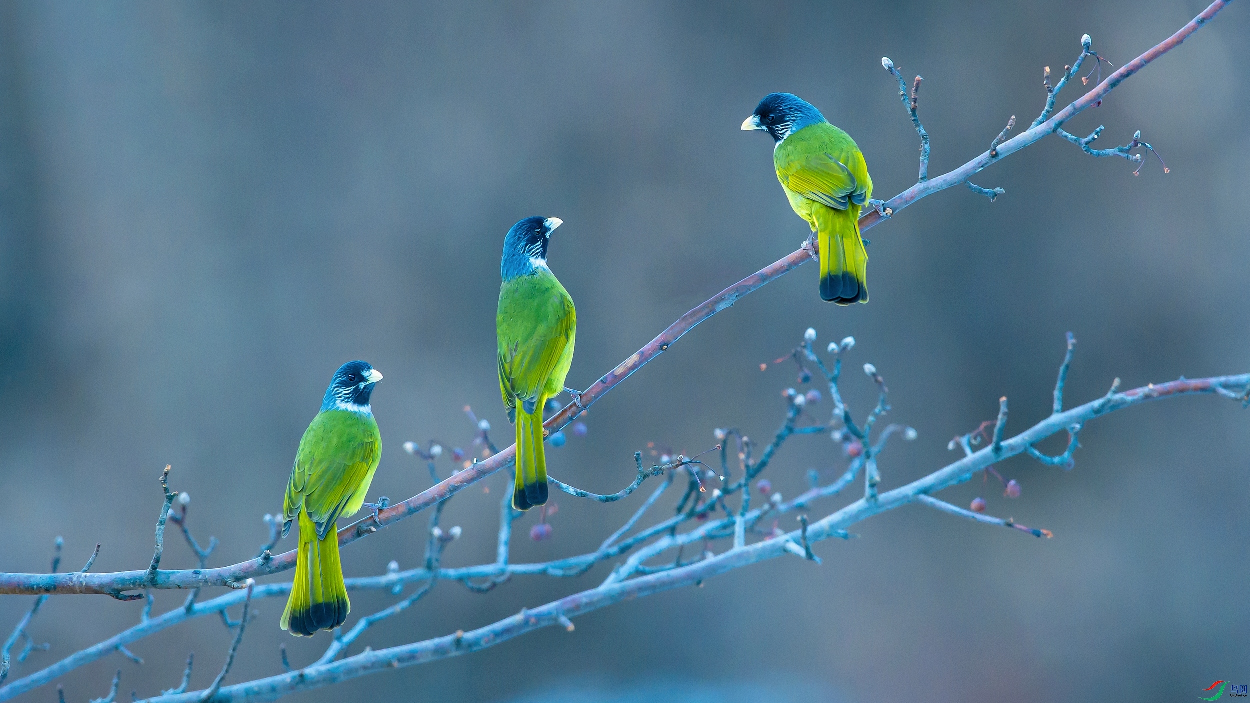 ��Ƭ_DSC3960.jpg