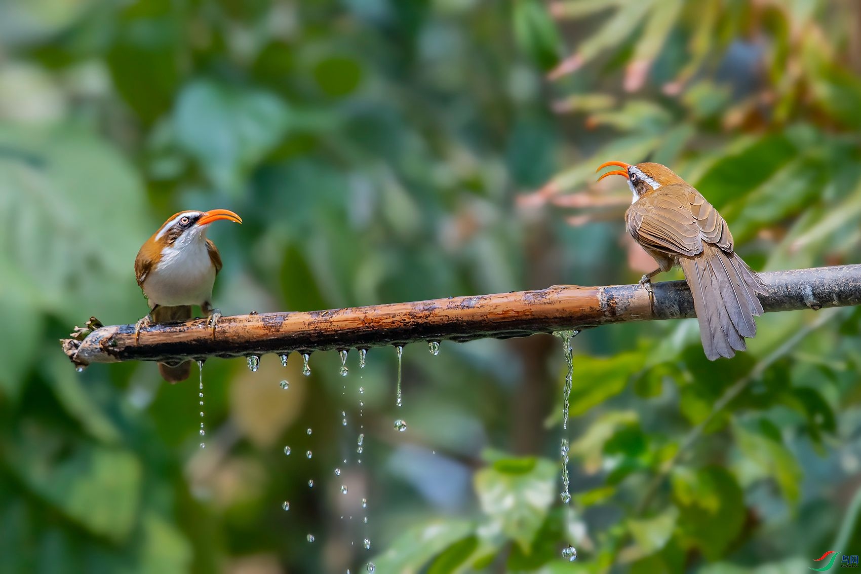 DSC_2629.jpg