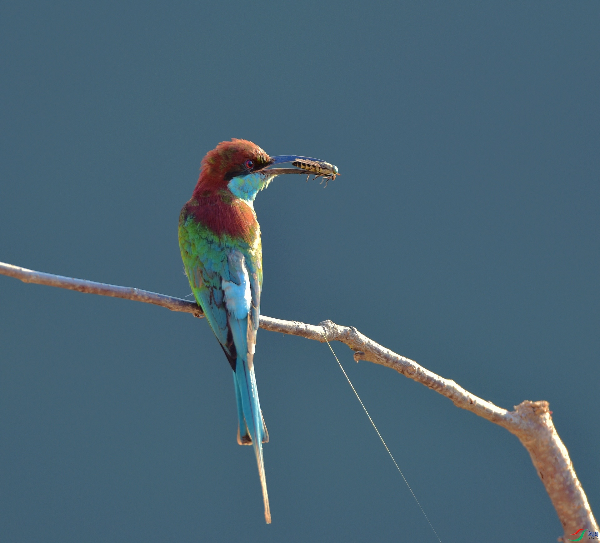 D8I_9802.jpg