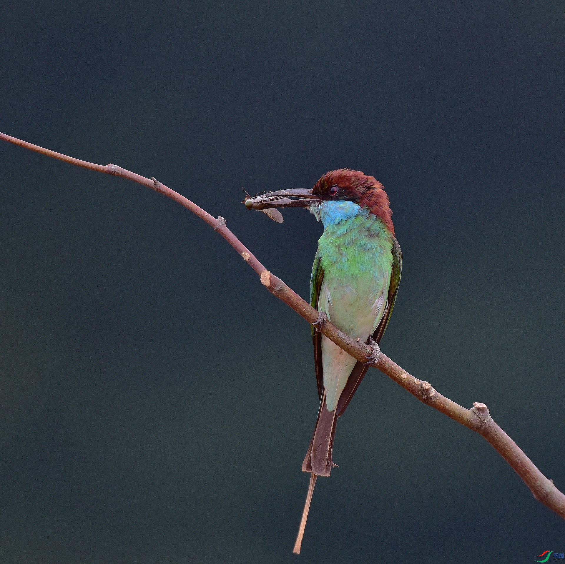 D8I_2894.jpg