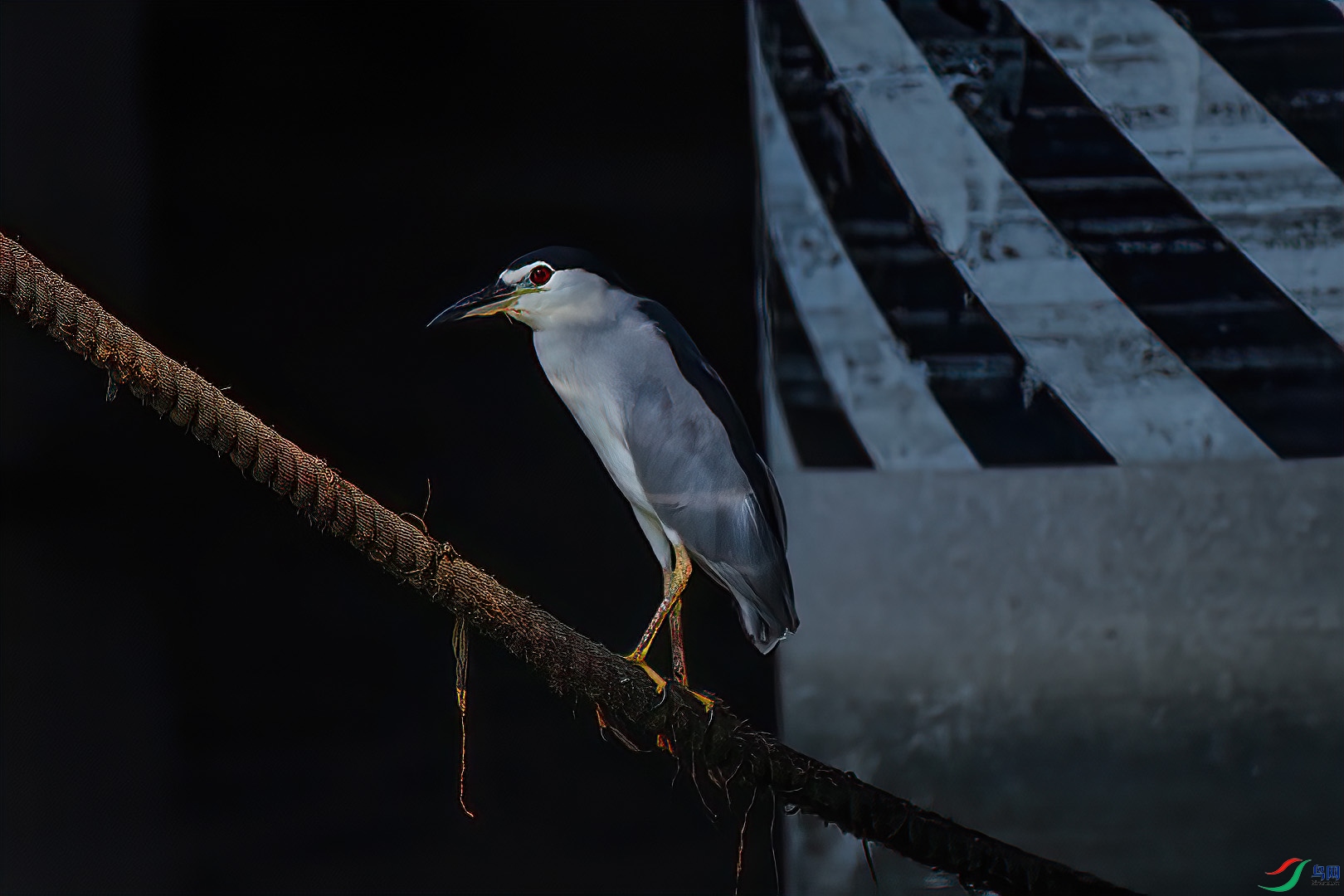 DSC_1899.jpg