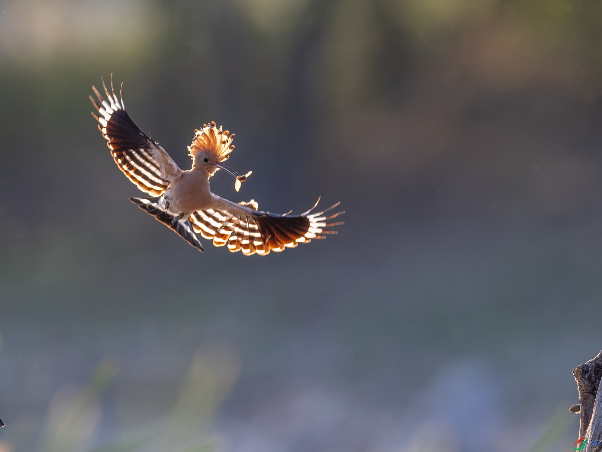 ��ʤ0C4A8458.jpg