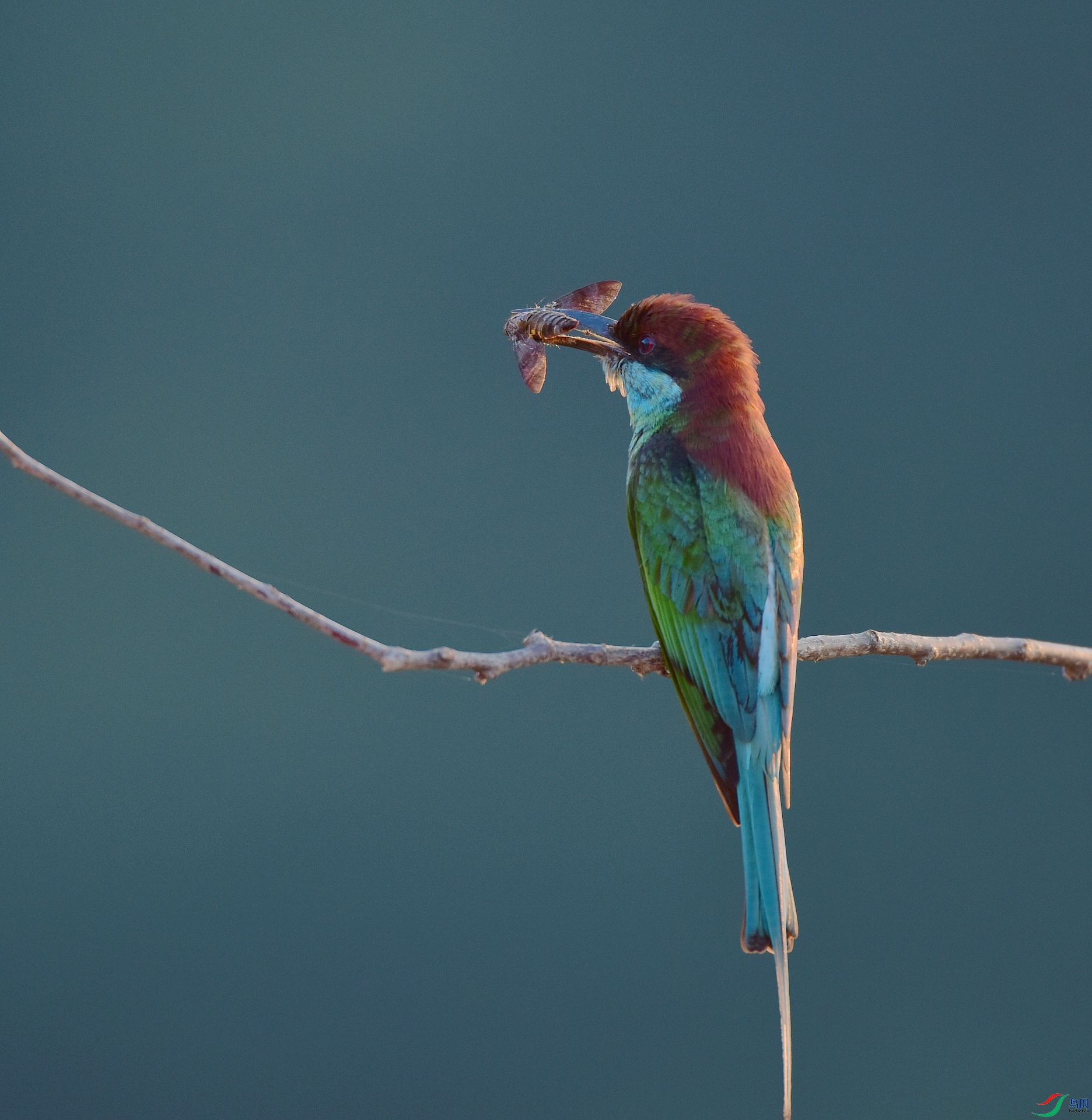 D8I_9904.jpg