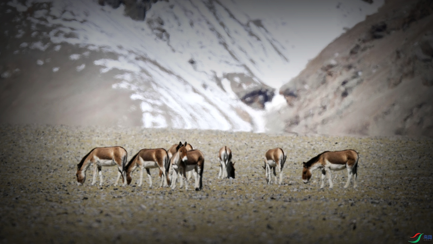 _DSC4374_����.jpg