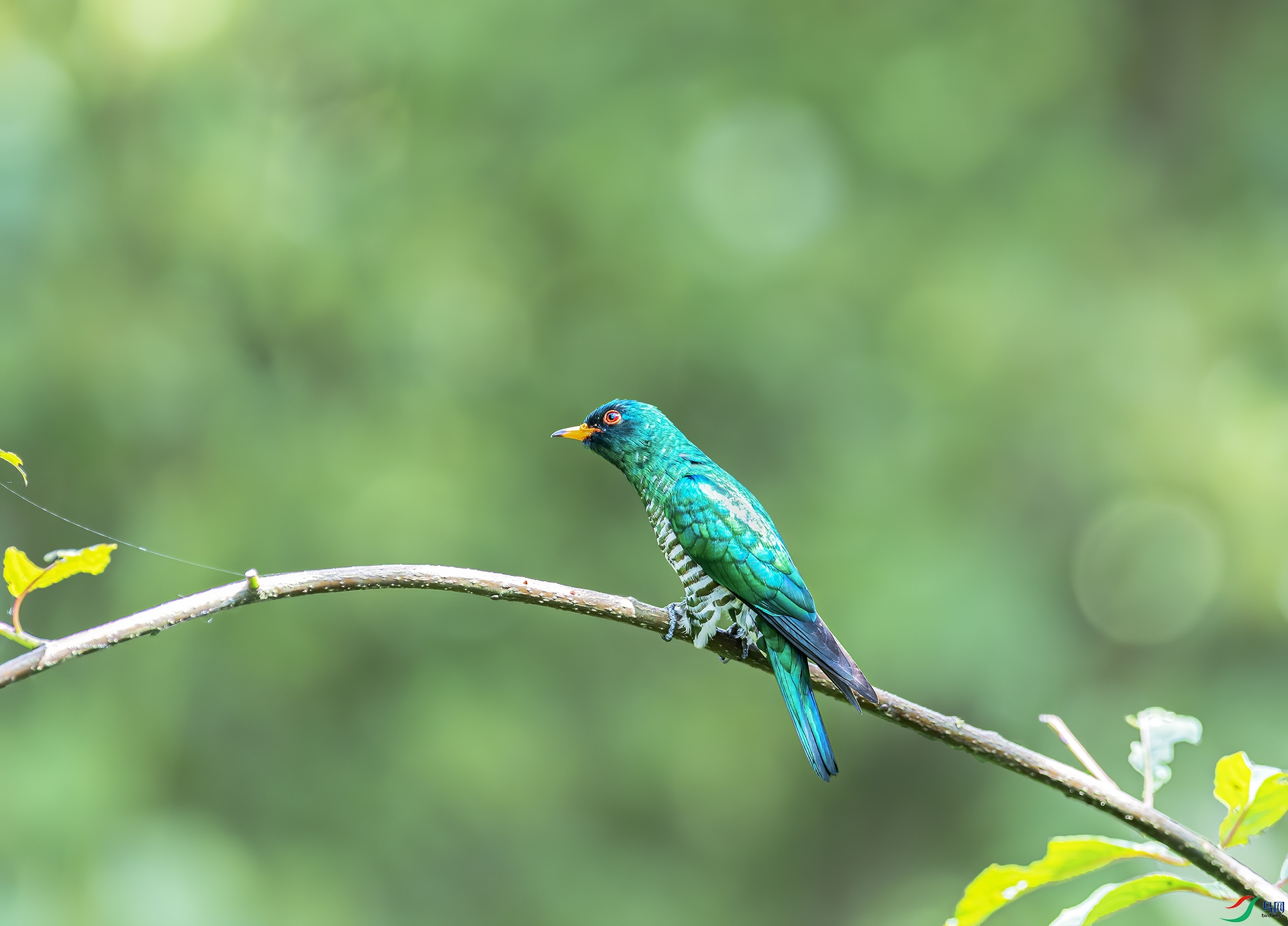 _DSC3060.jpg