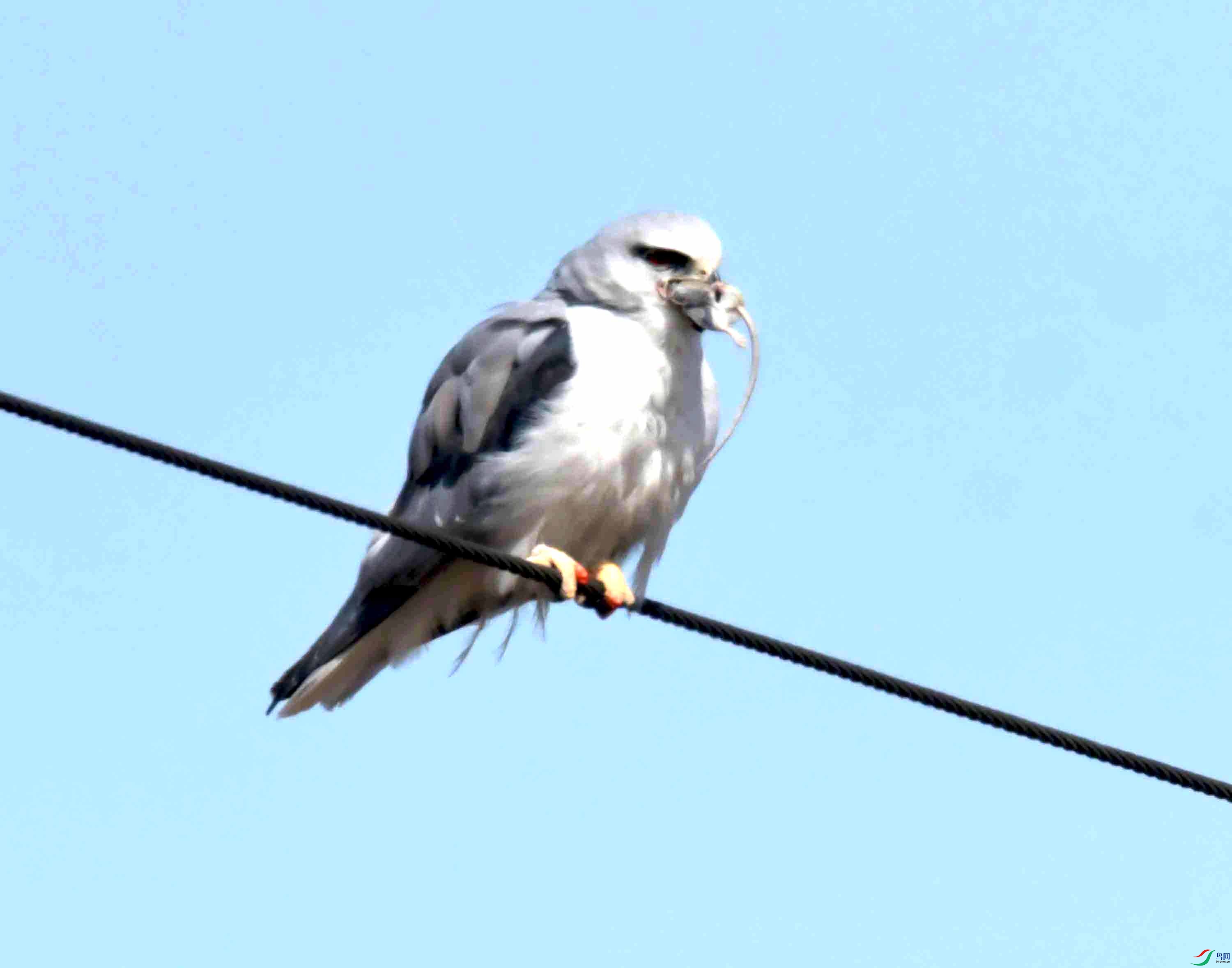DSC_0006.JPG