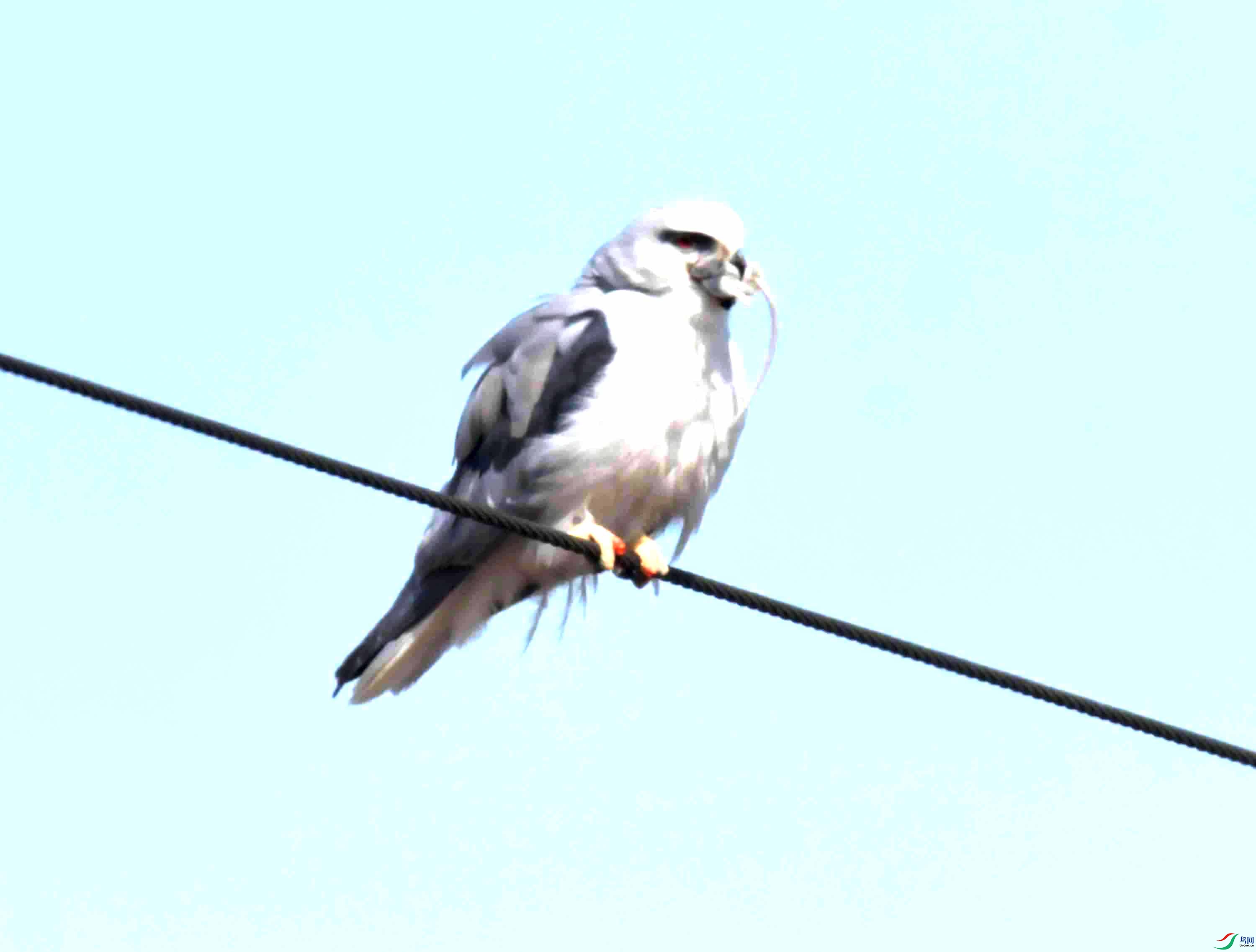 DSC_0008.JPG