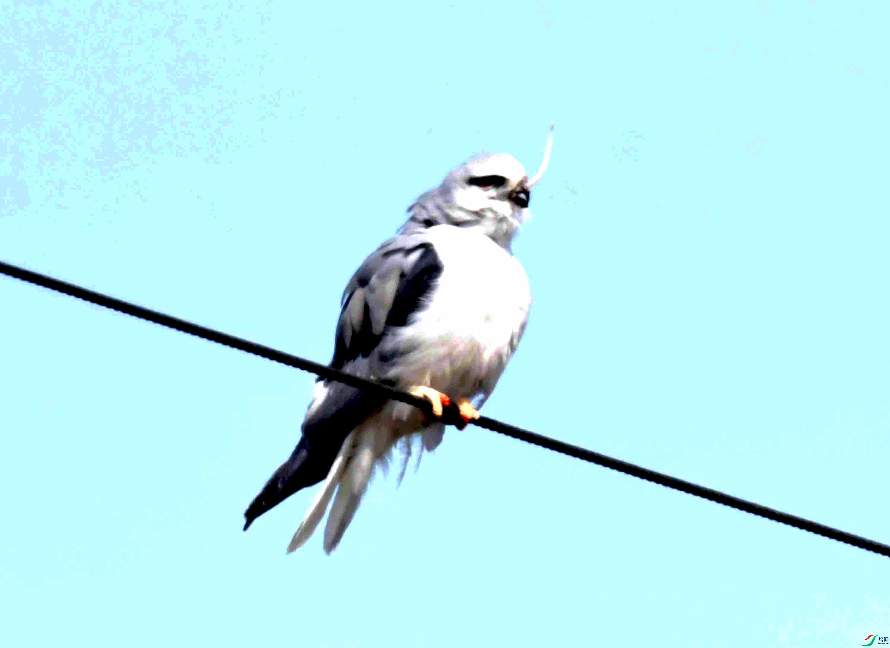 DSC_0014.JPG