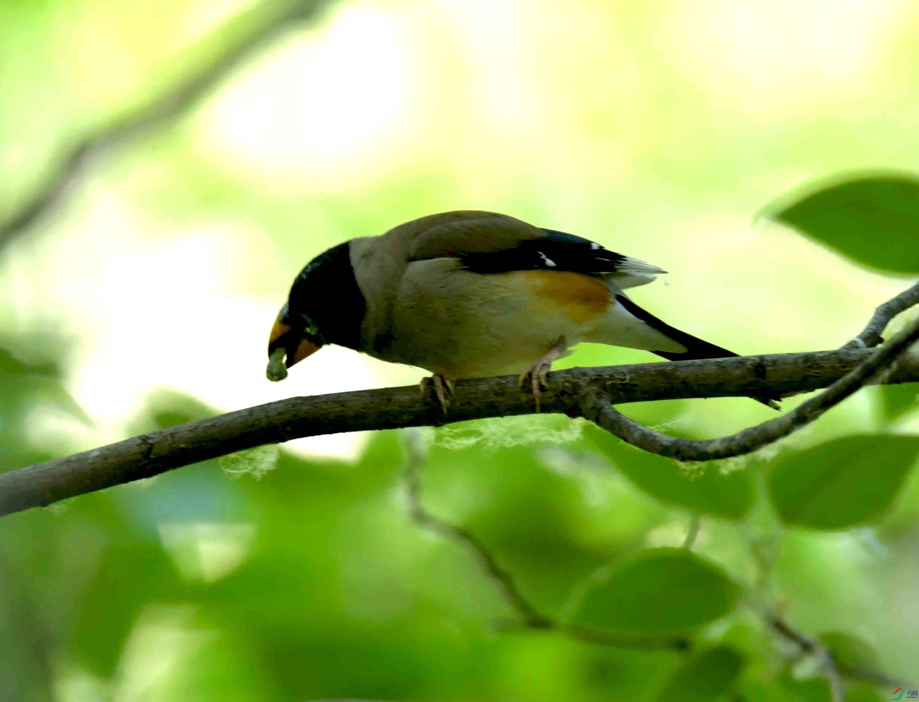 DSC_6794.JPG