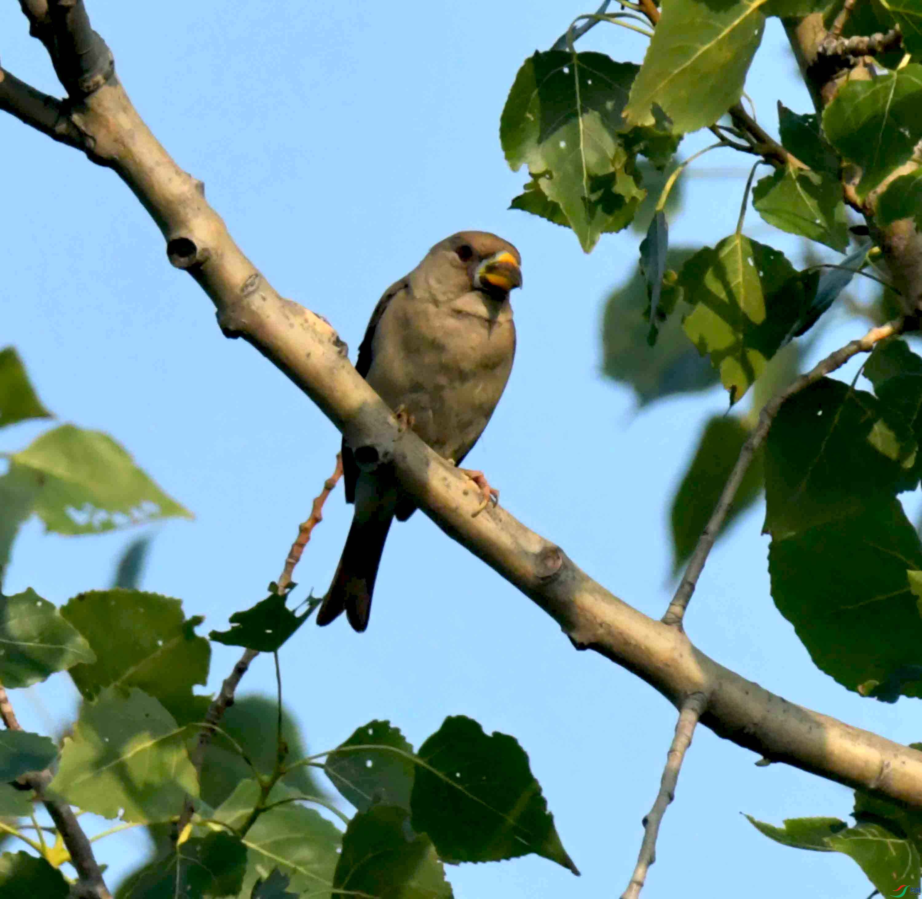 DSC_8764.JPG