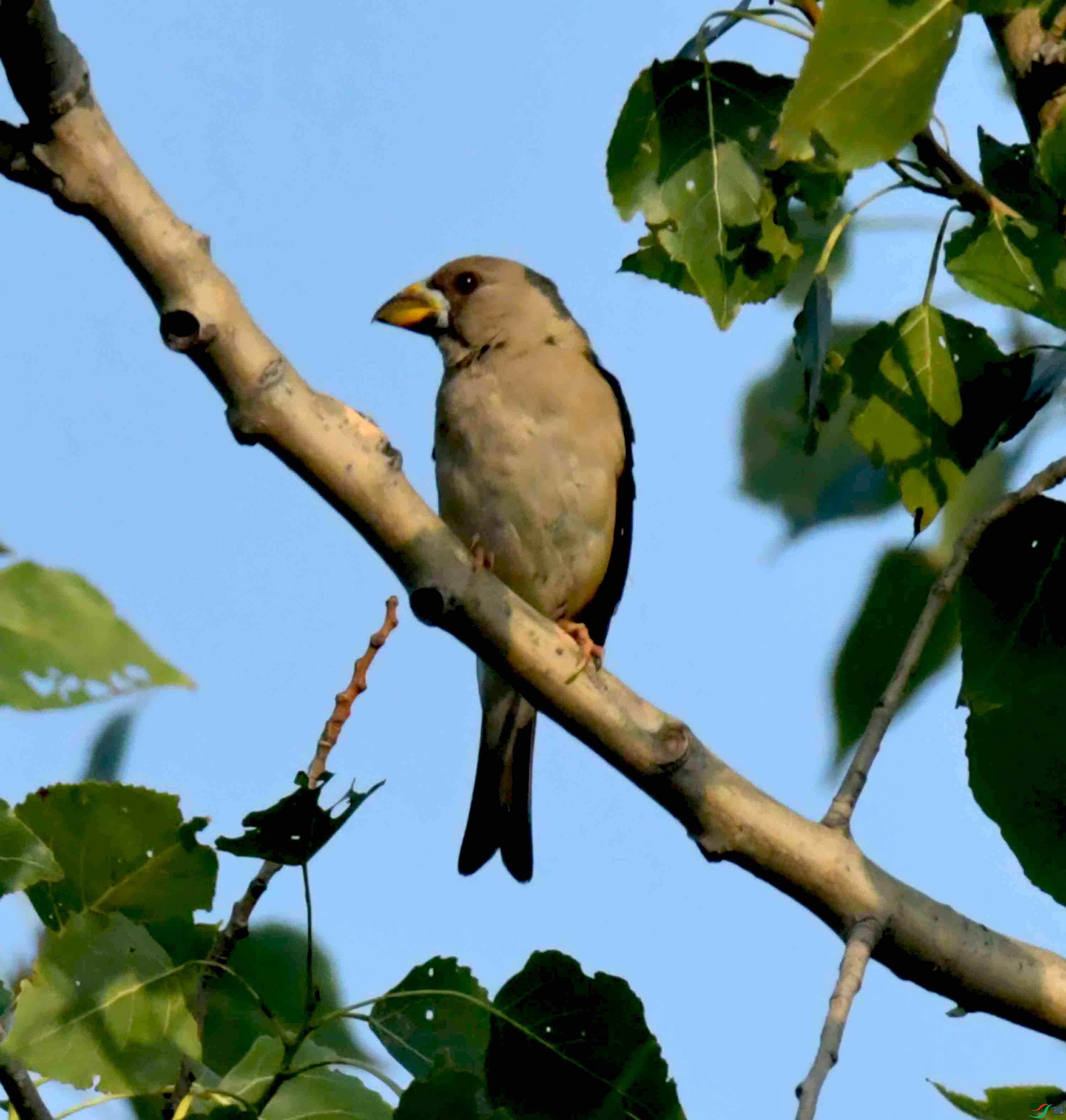 DSC_8768.JPG