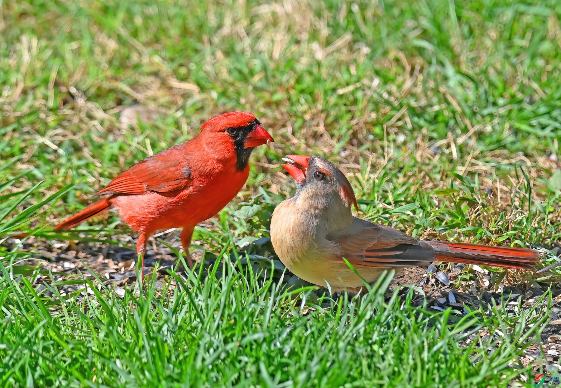 DSC_7394--.jpg